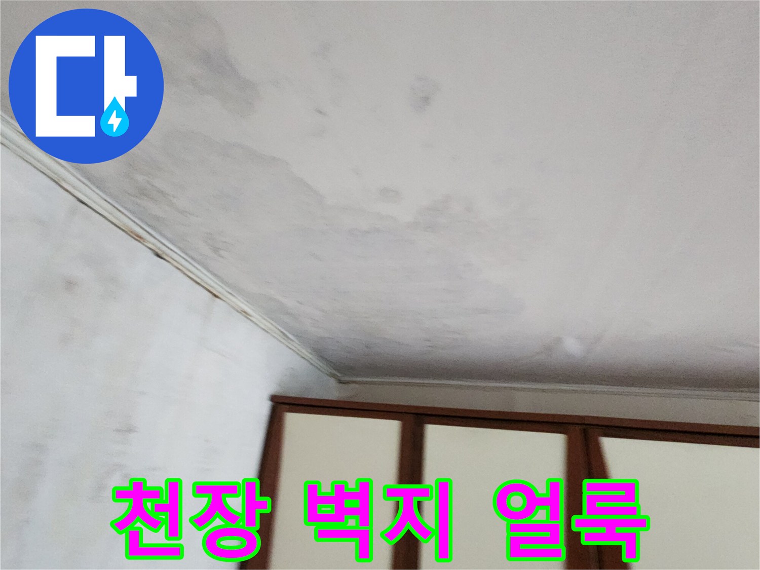 포천 가산면 현장의 천장 벽지 곰양 및 변색 상태
