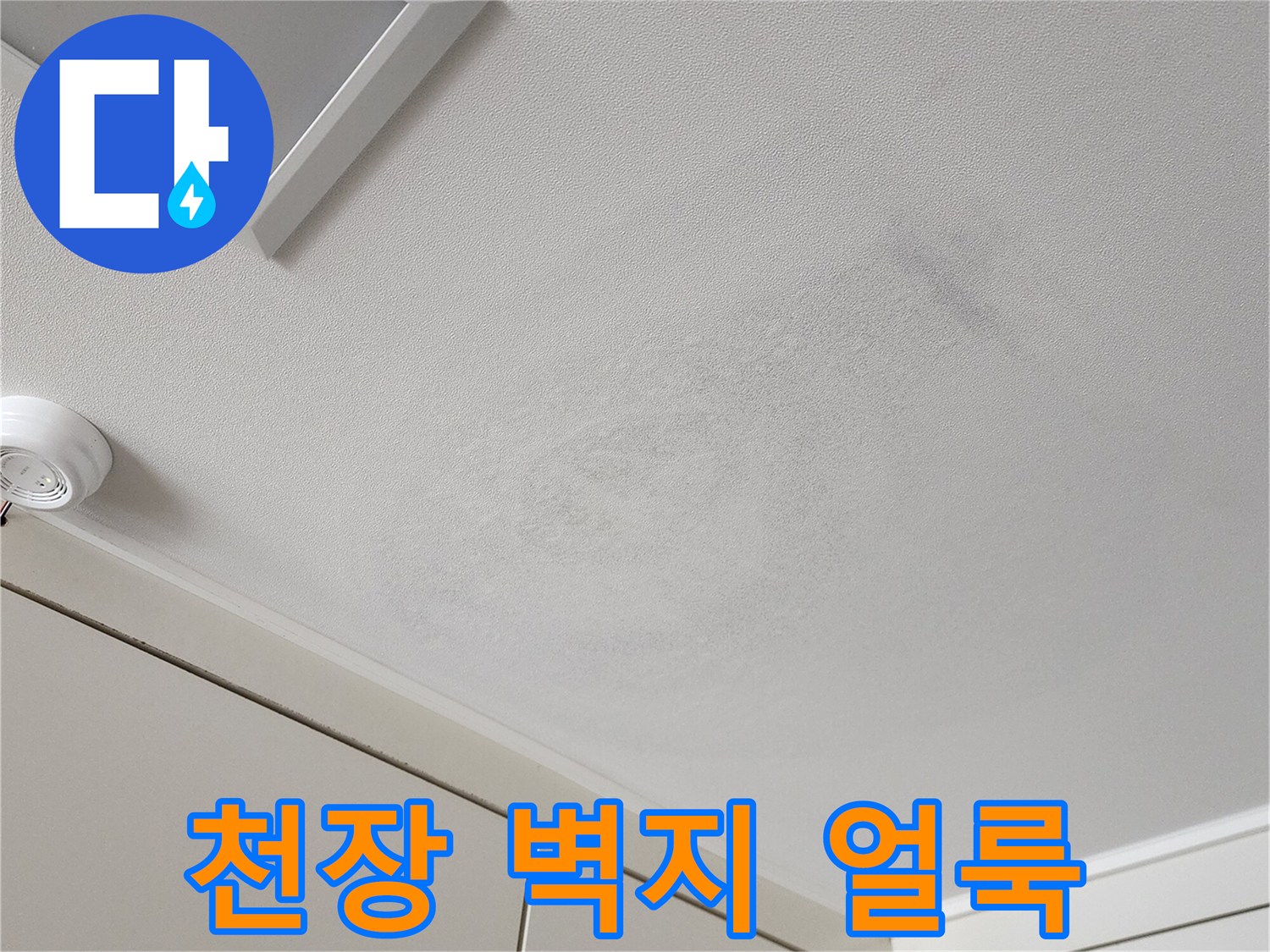 포천 가산면 현장의 천장 벽지 변색 및 곰양 흔적