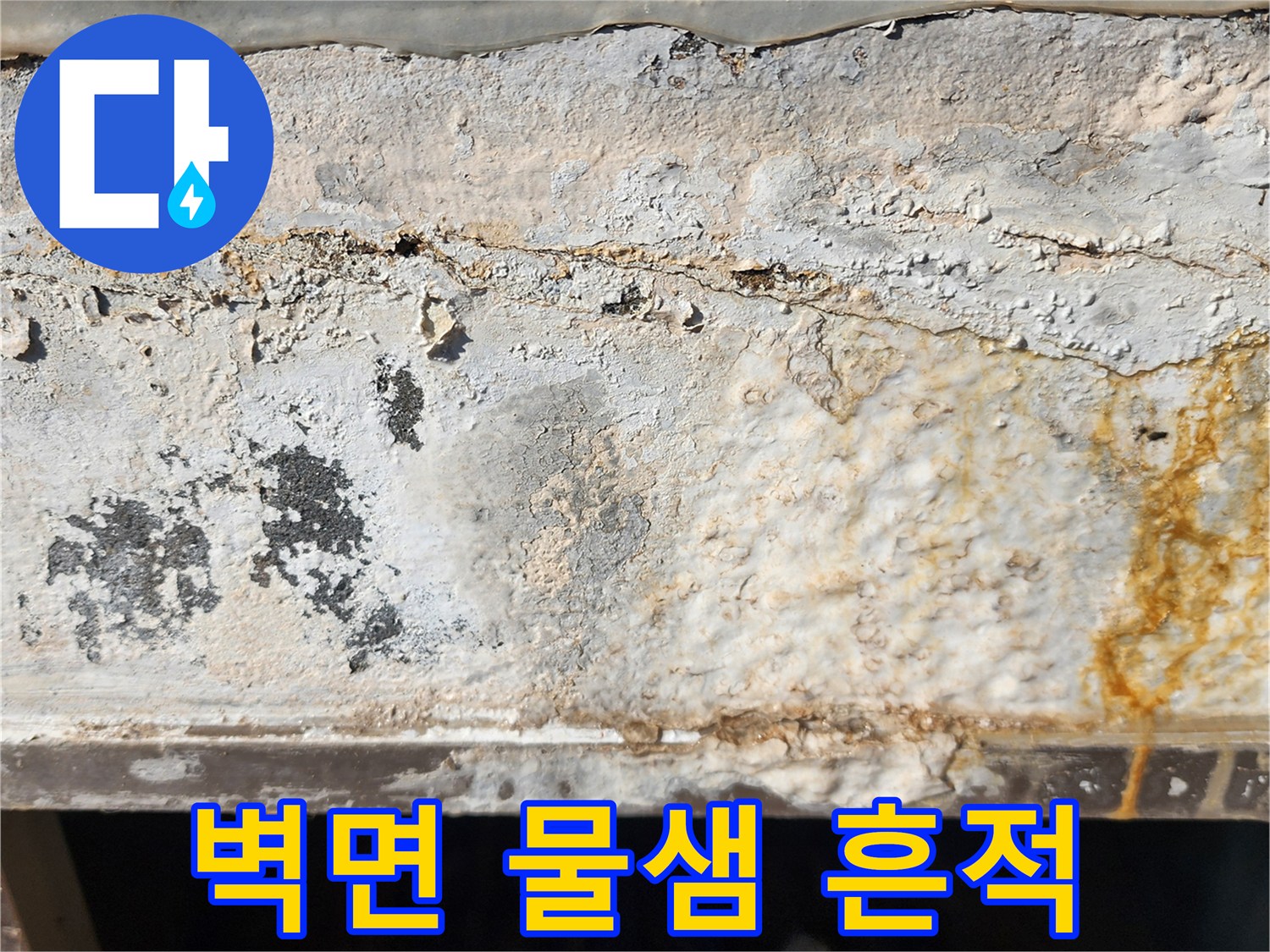 배관 누수로 인해 변색된 벽면의 근접 촬영