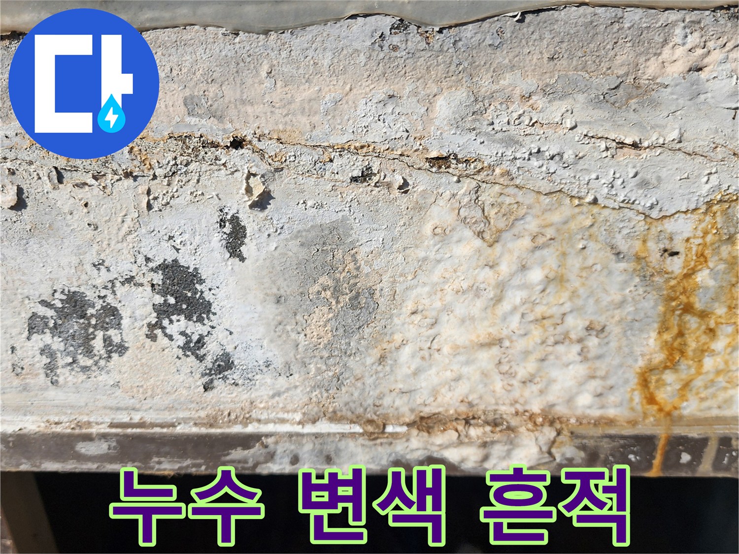 외벽 하단-황색 얼룩과 습기 침투 현상