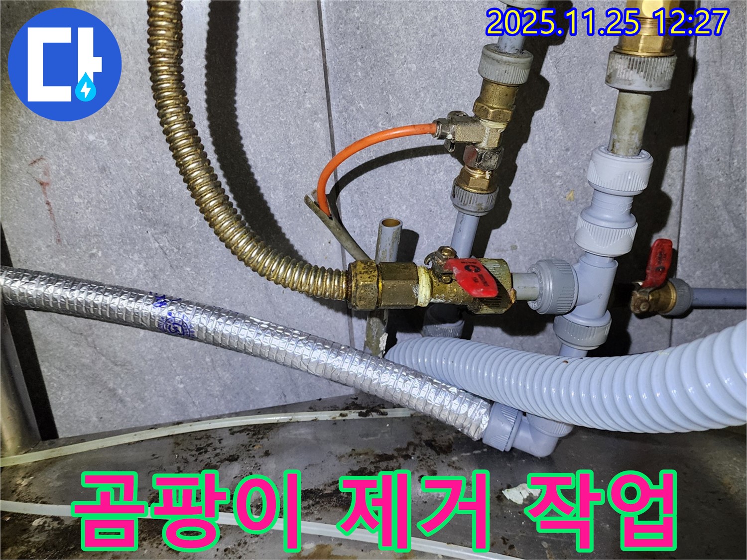 누수로 인한 곰팡이 제거 - 깨끗하고 쾌적한 공간으로!