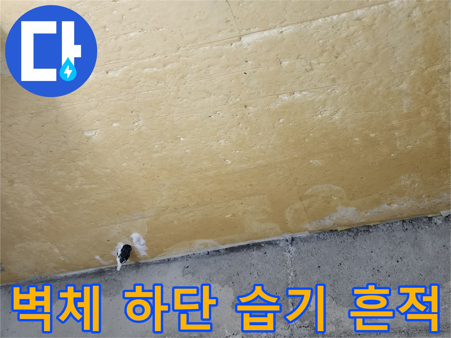 물샘으로 인해 변색된 벽면 단열재와 콘크리트 면