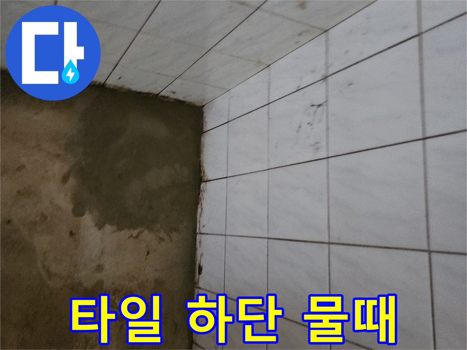 물기가-스며든-욕실-벽면-타일-경계-부분