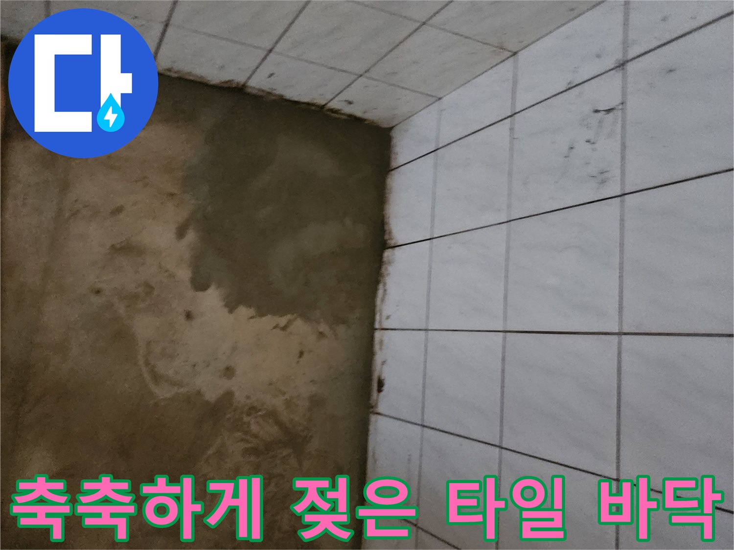 포천 신북면-습기가 머문 타일 경계선
