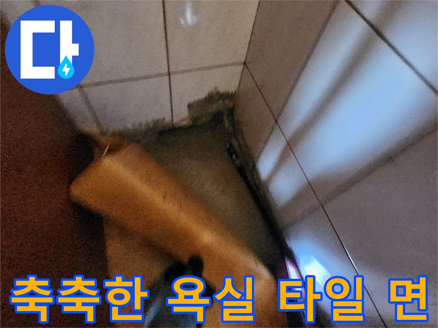 포천 신북면-타일 틈새에 고인 습기 상태