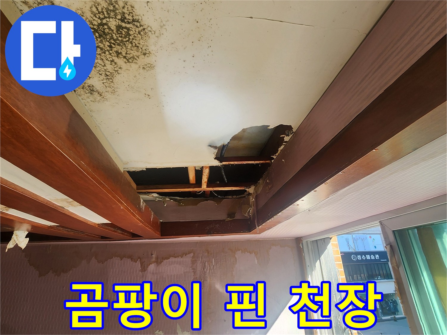 천장 곰팡이 확산-마감재 탈락 현상