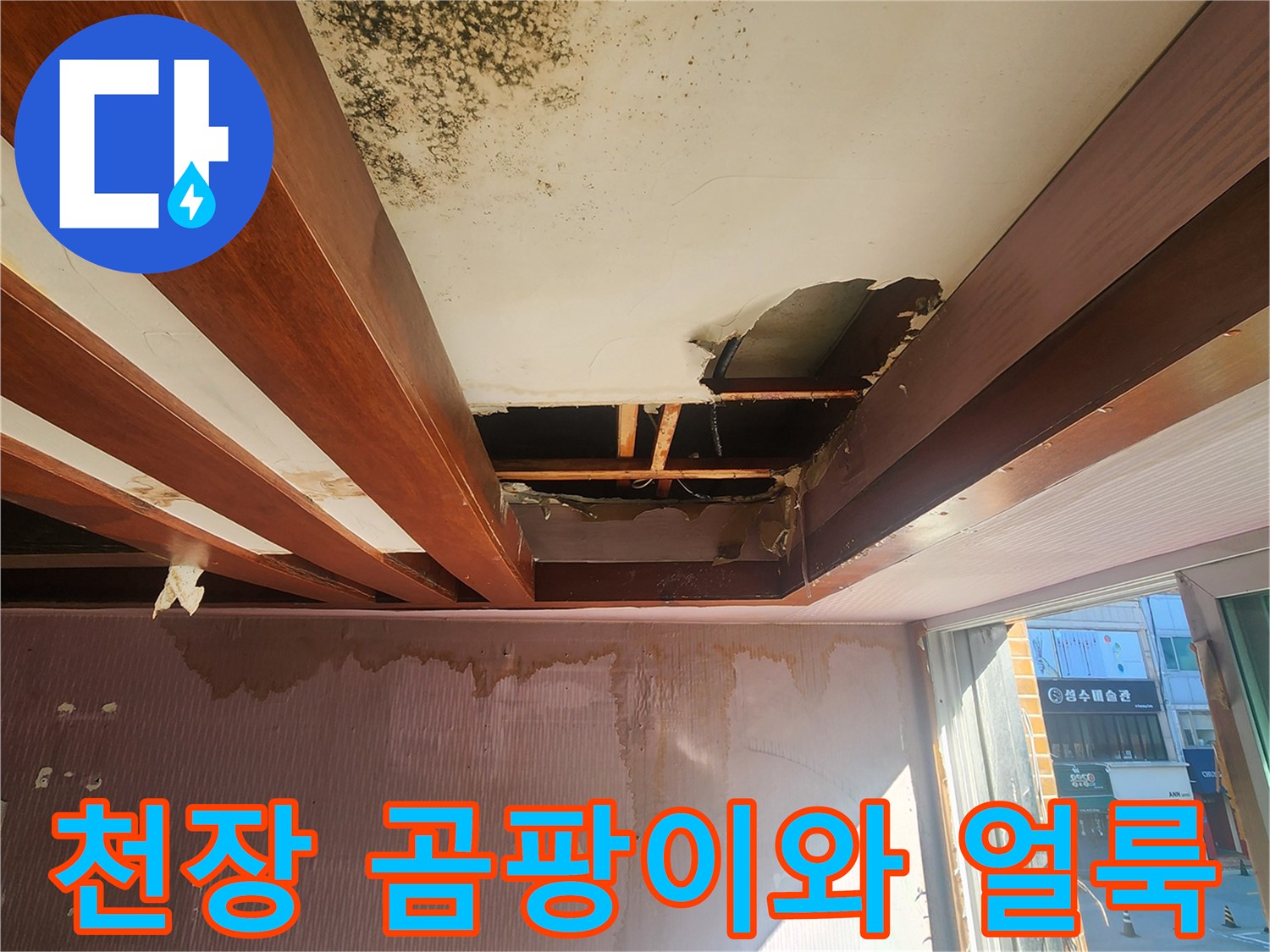 천장 마감재에 발생한 광범위한 검은색 곰팡이와 습기 흔적