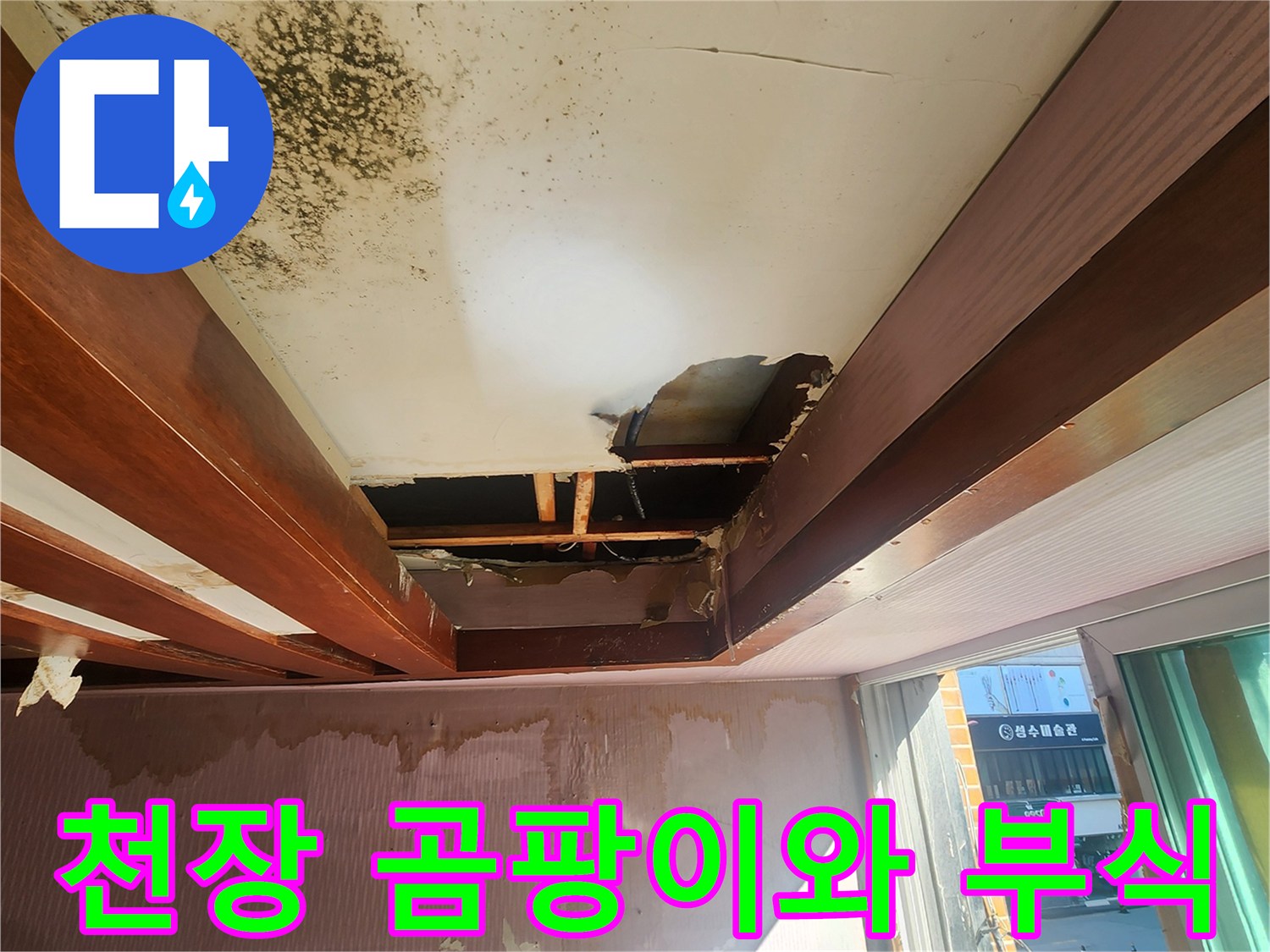 포천 신북면 현장의 - 천장 곰팡이 및 목재 부식 상태