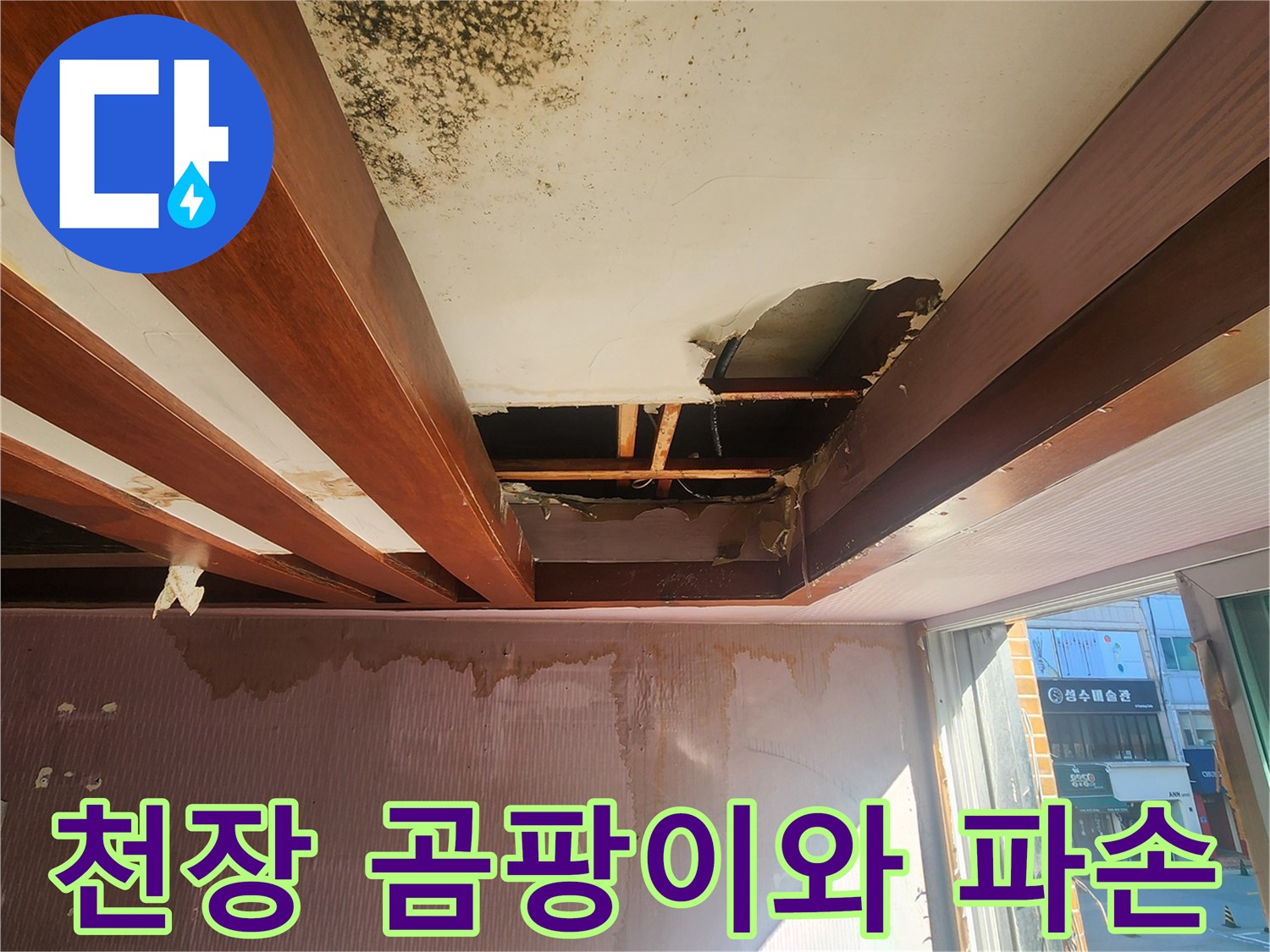 포천 신북면 현장의-천장 곰팡이 및 석고보드 파손 상태