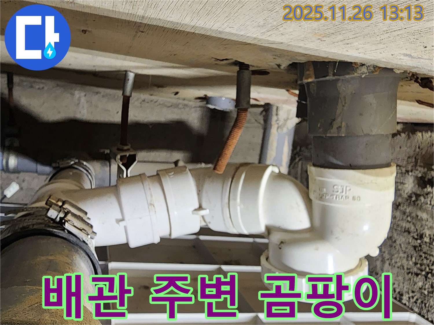 배관 주변 곰팡이 - 누수 징후 - 꼼꼼한 점검