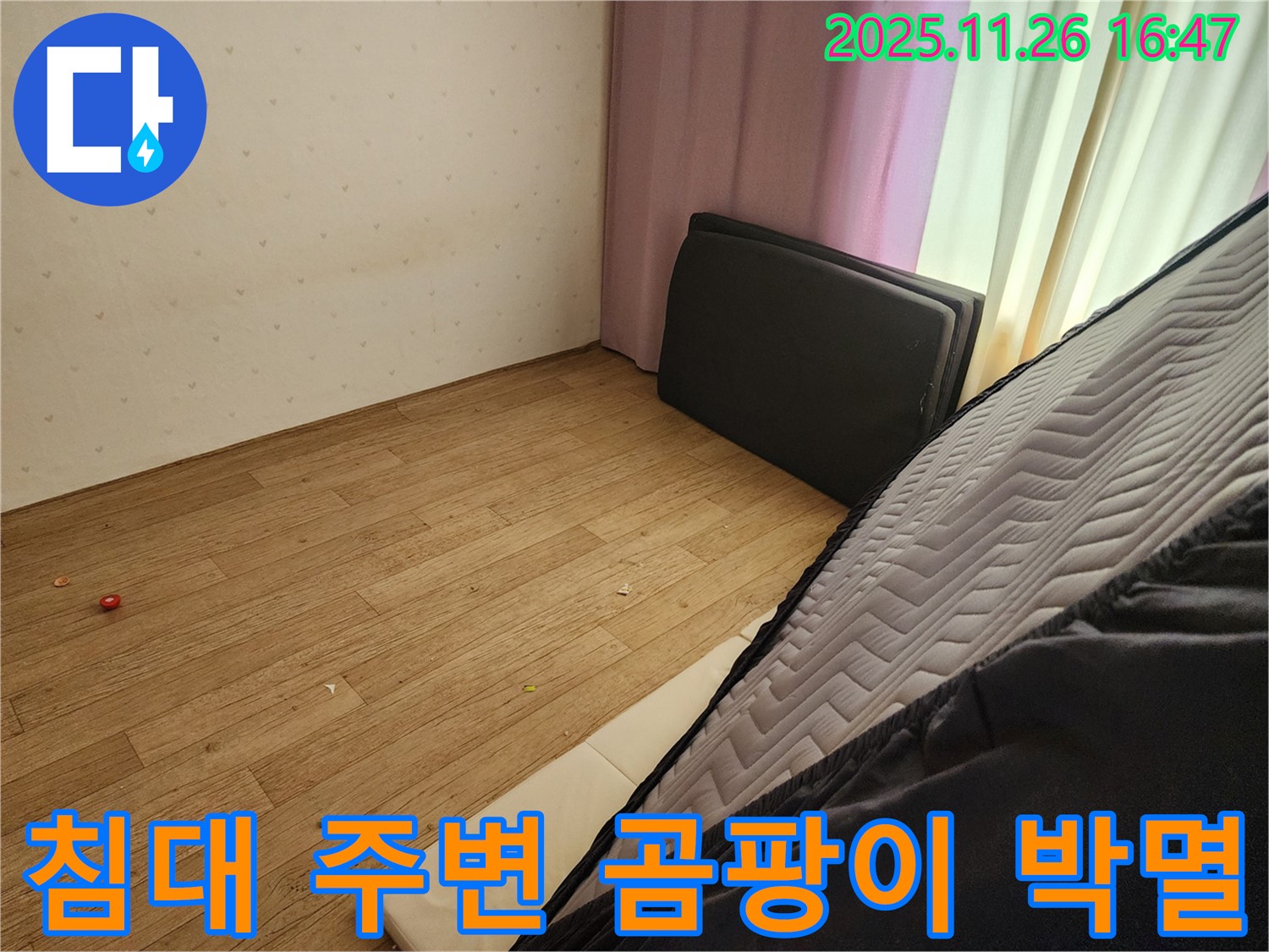 포천 신북면 삼성당리 누수 - 침대 주변 곰팡이 문제 완벽 박멸