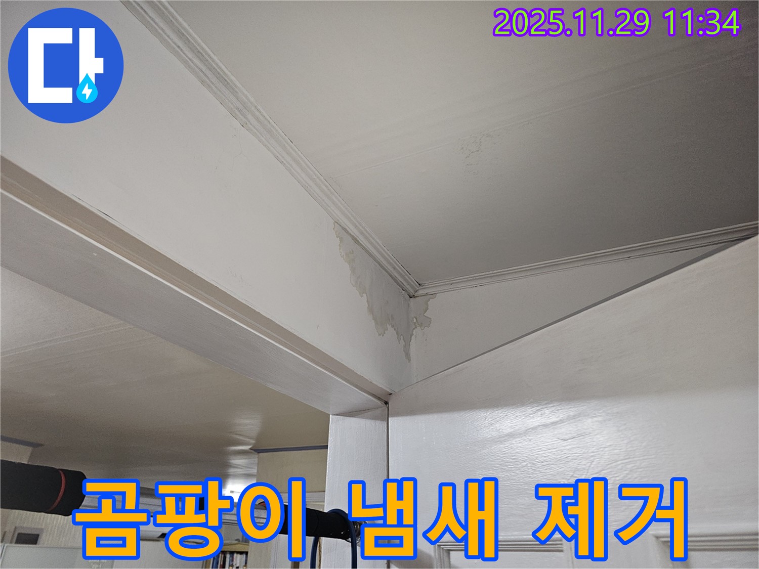 파주 광탄 누수 - 천장 곰팡이 냄새, 원인 제거 & 쾌적 환경 조성으로 건강하게!