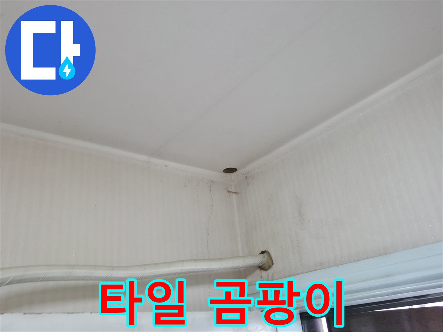 서초 명달로4길 타일 곰팡이 - 누수 영향 의심!