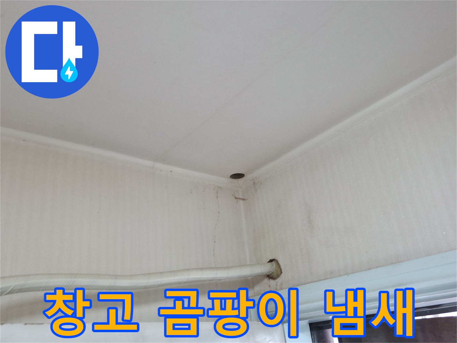 서초2동 341-1 창고 냄새 - 환기 불량 의심!