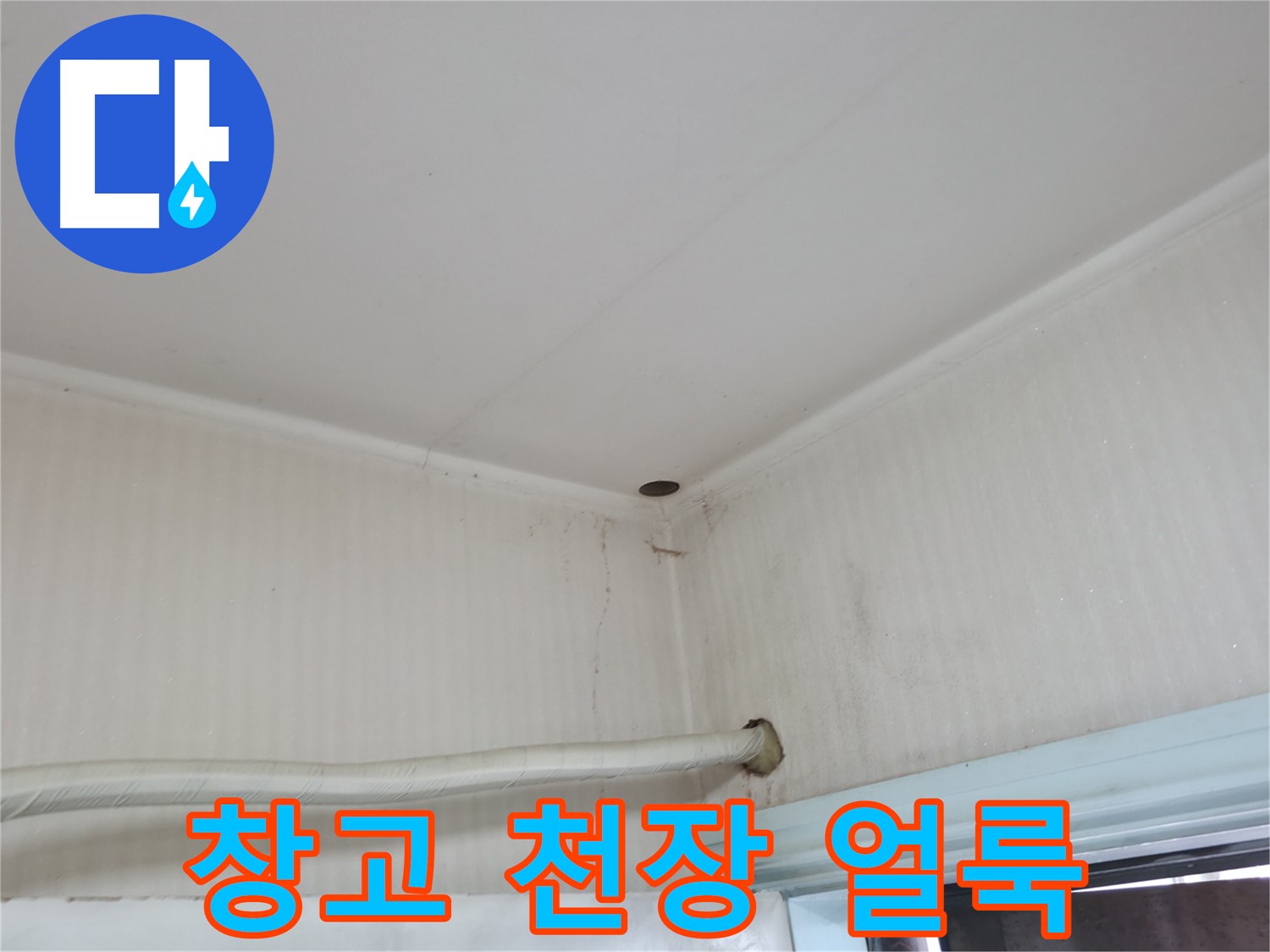 서초2동 341-1 창고 얼룩 - 윗집 누수 의심!