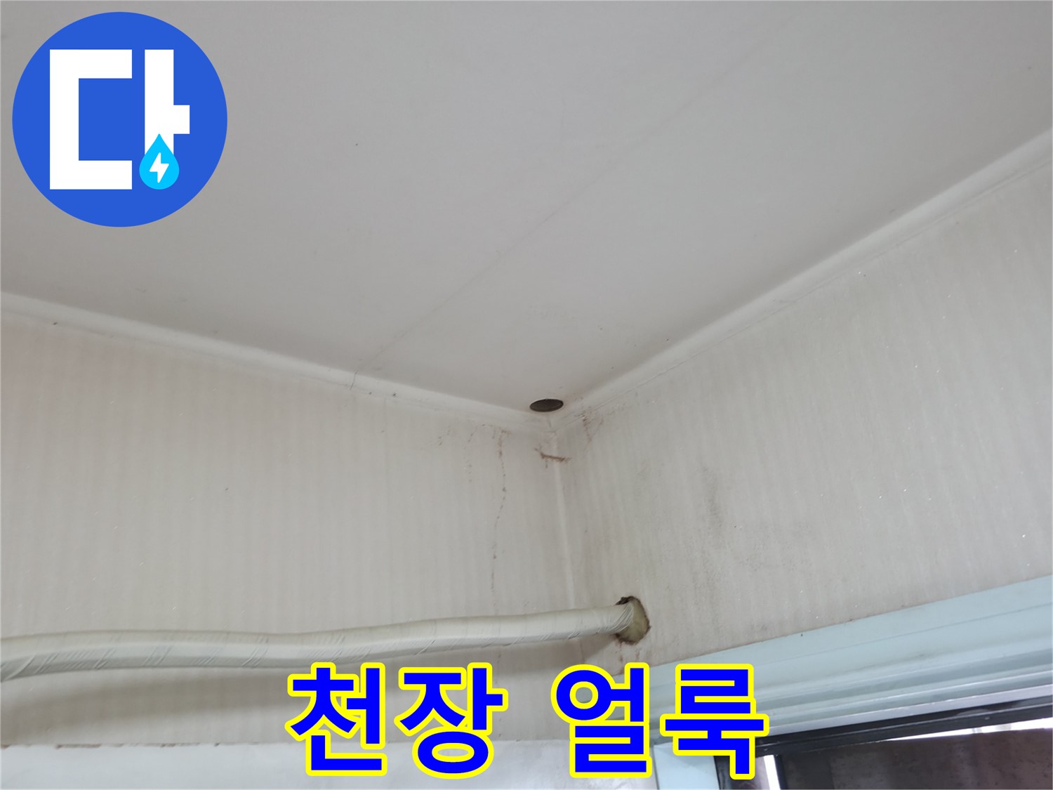 서초2동 341-1 천장 얼룩 - 윗집 배관 의심!