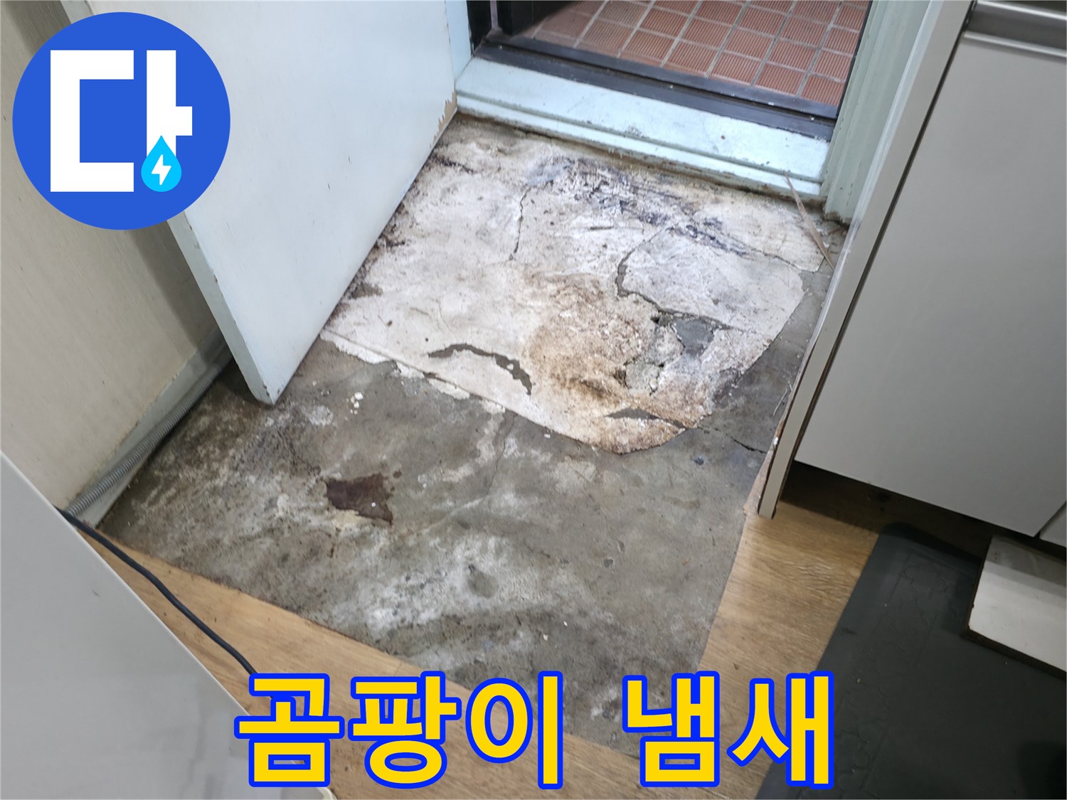 서초2동 누수 - 곰팡이 냄새가 나는 누수 현장