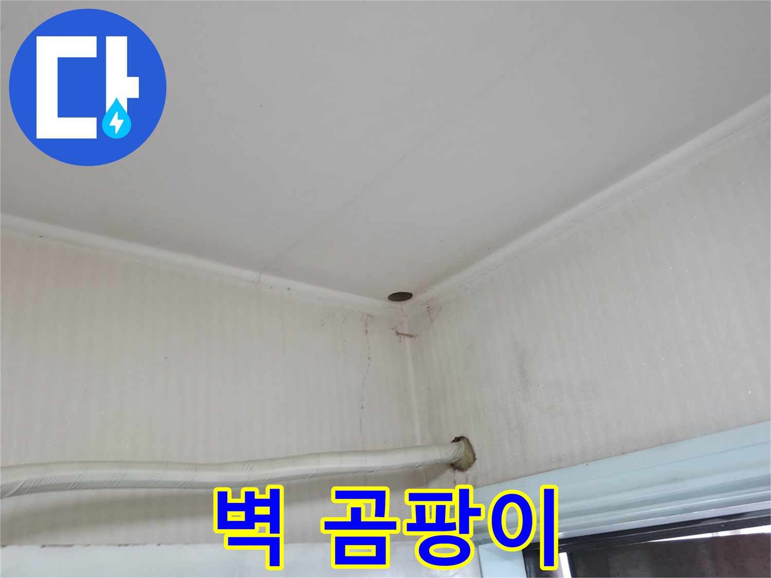 서초2동 명달로4길 벽 곰팡이 - 건강 위협!