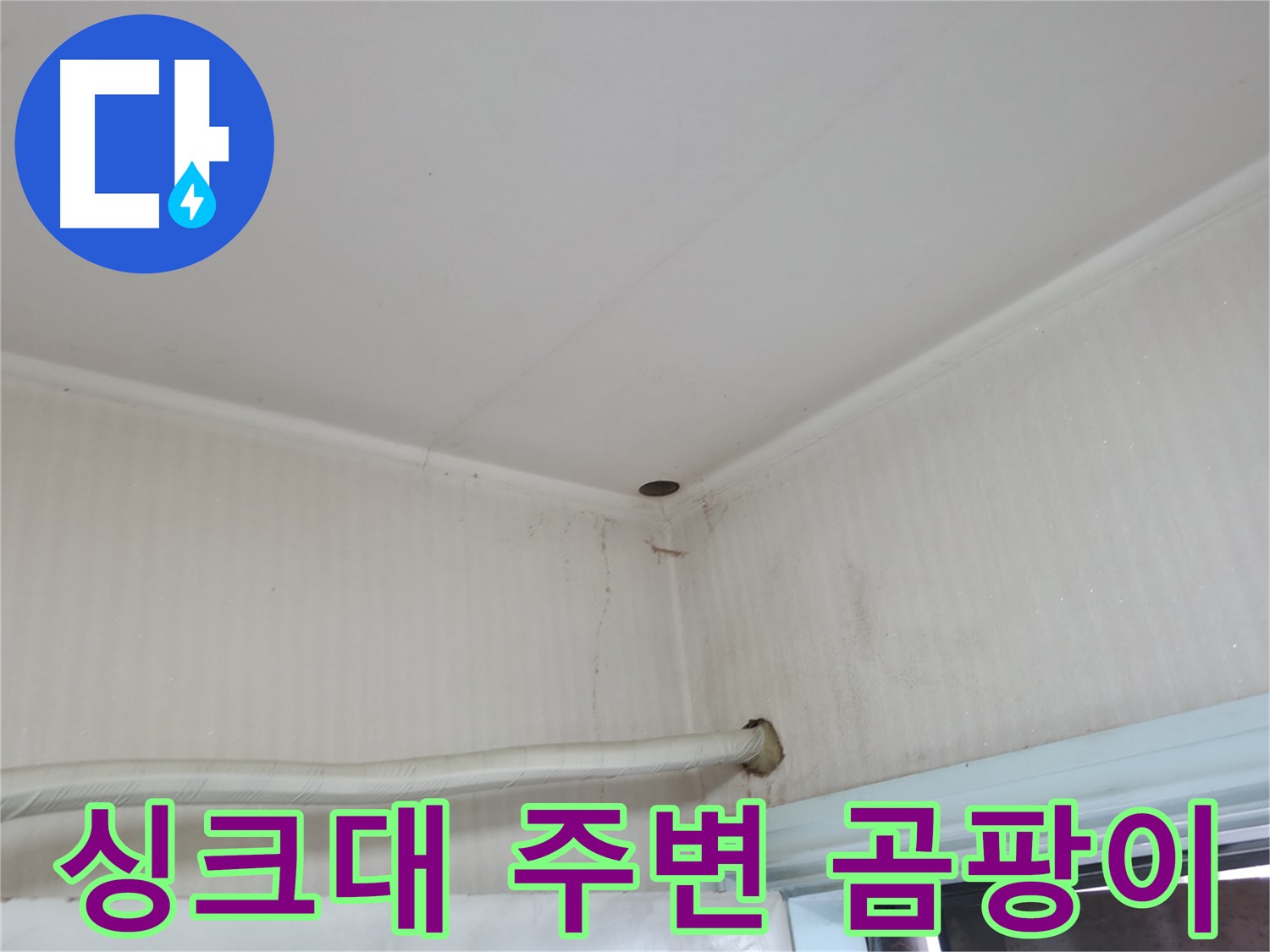 서초2동 명달로4길 싱크대 곰팡이 - 습한 환경 주의!