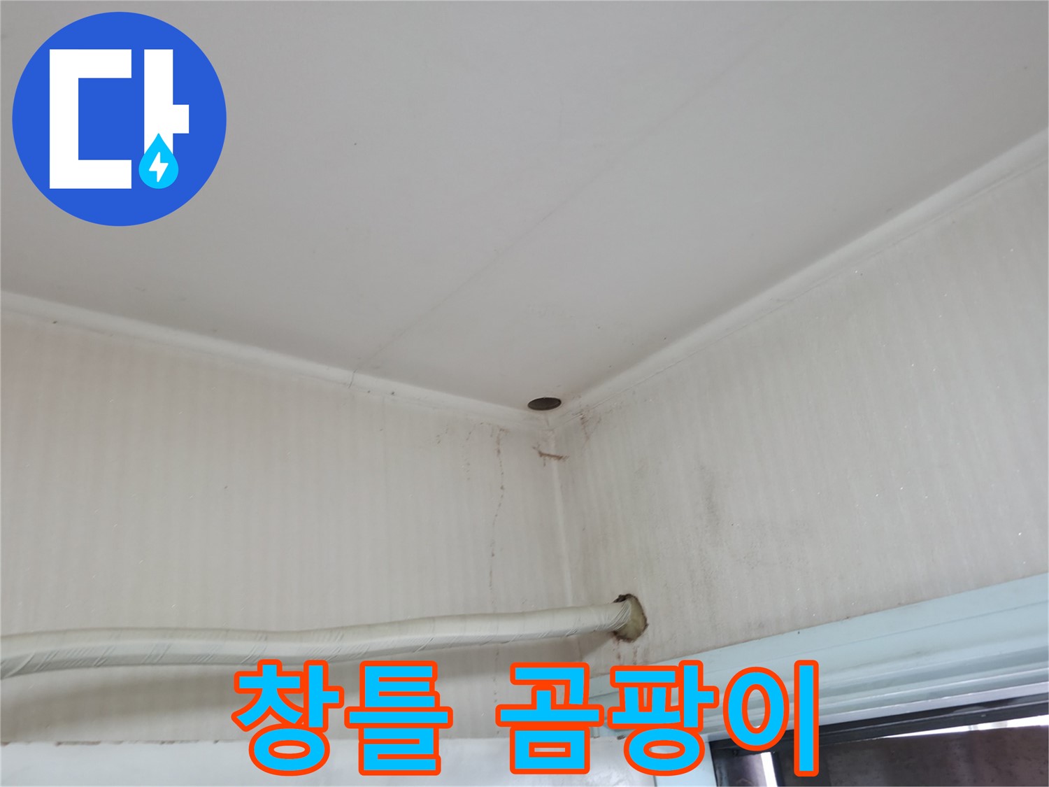 서초구 서초동 누수 - 벽 페인트가 들떠 있다면 습기 또는 누수를 의심해 보세요.