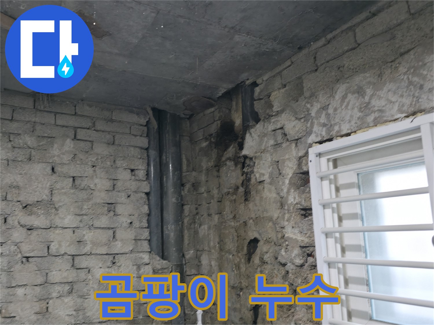 서초구 명달로4길 누수 - 벽에 곰팡이가 심하게 발생했습니다 - 누수 해결과 함께 곰팡이 제거가 필수입니다.