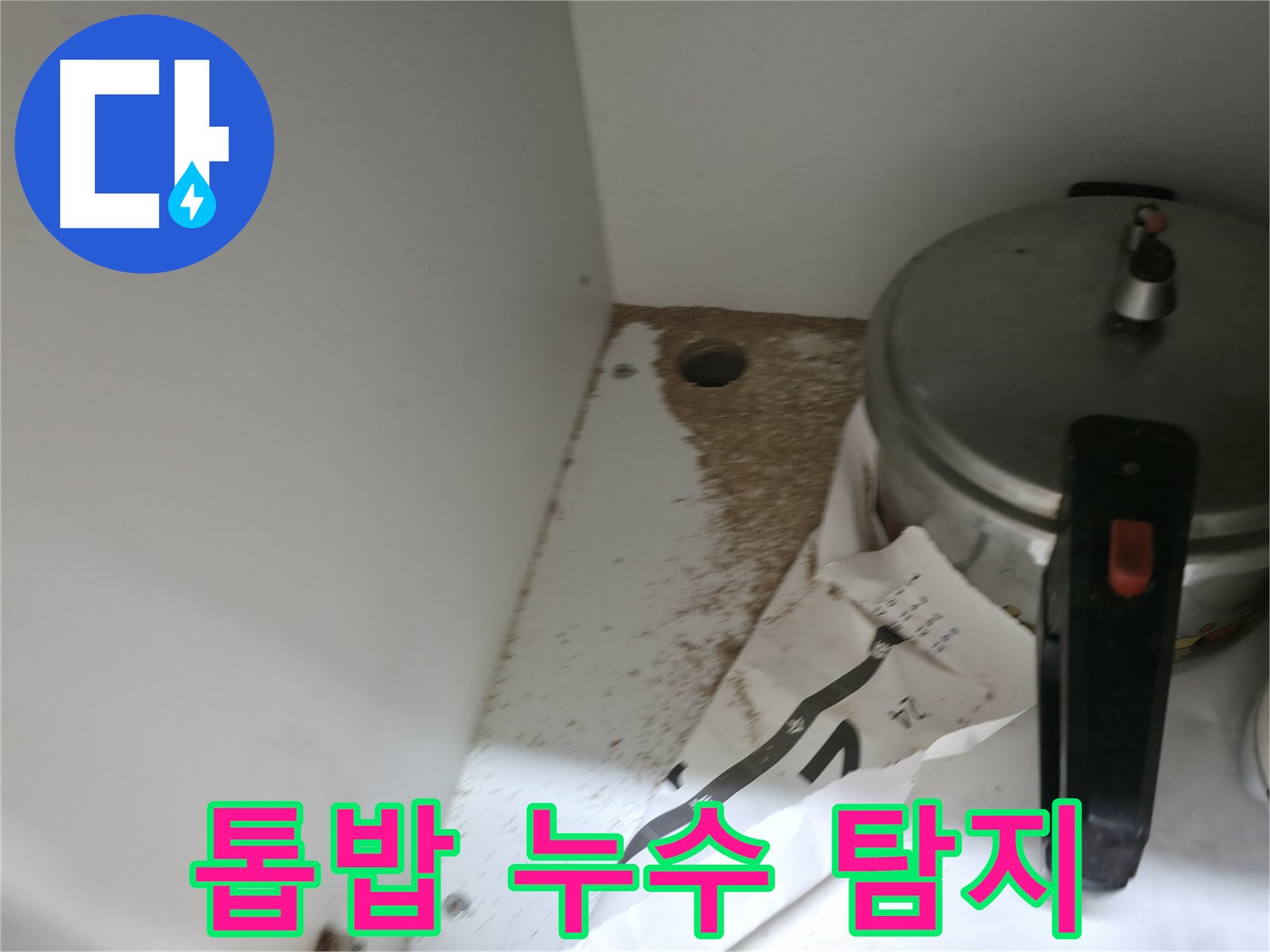 싱크대 밑 - 톱밥 - 흰개미 의심 - 긴급 점검 필요