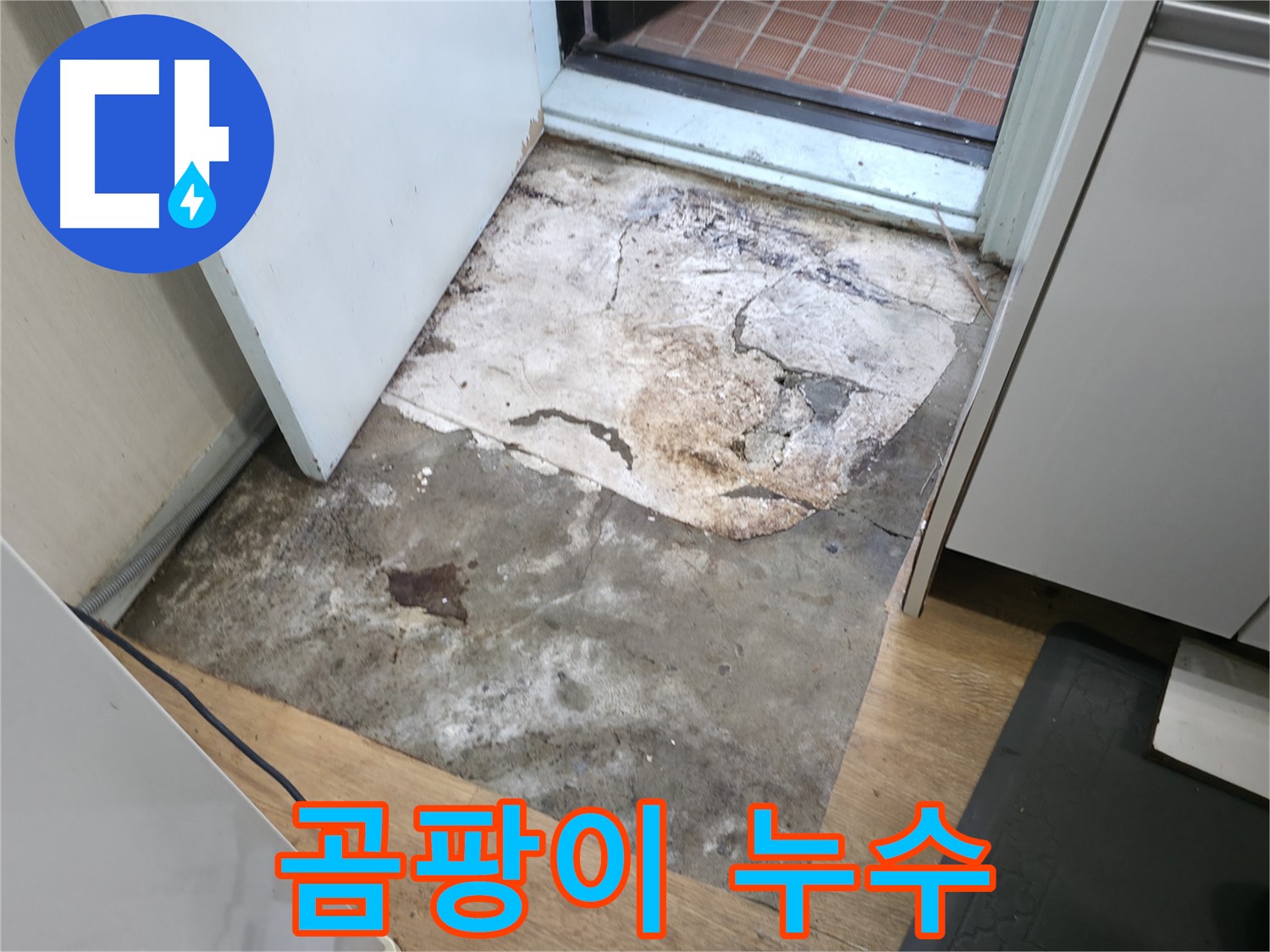 서초구 서초2동 누수 - 곰팡이가 발생한 바닥 상태