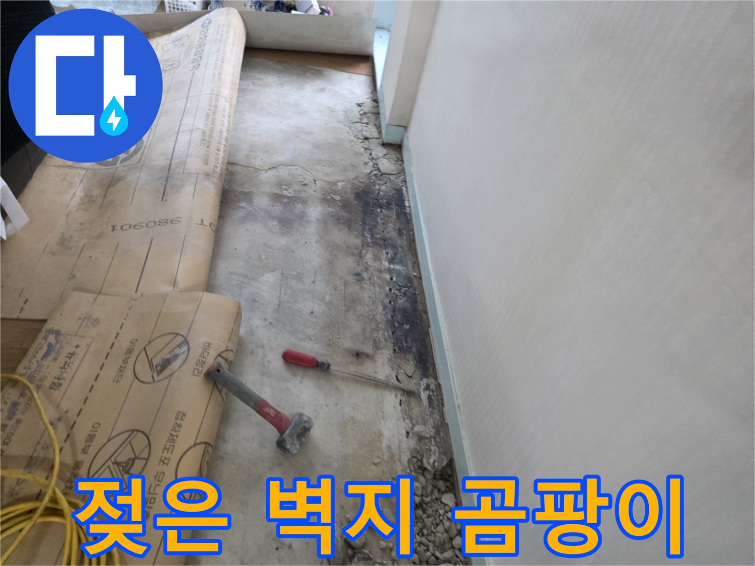 서초구 서초2동 누수 - 젖은 벽지, 곰팡이 번식 직전 긴급 진단