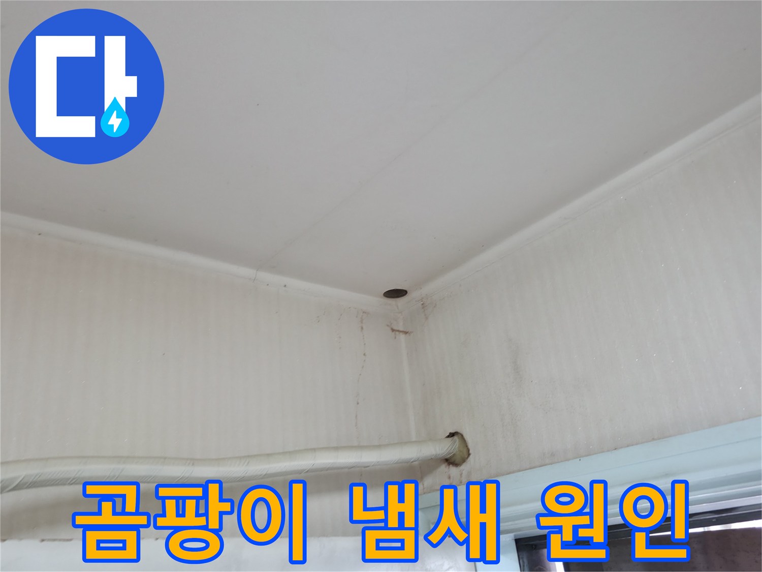 서초구 서초2동 명달로4길 누수 - 곰팡이 냄새의 원인을 찾기 위한 누수 탐지 작업.