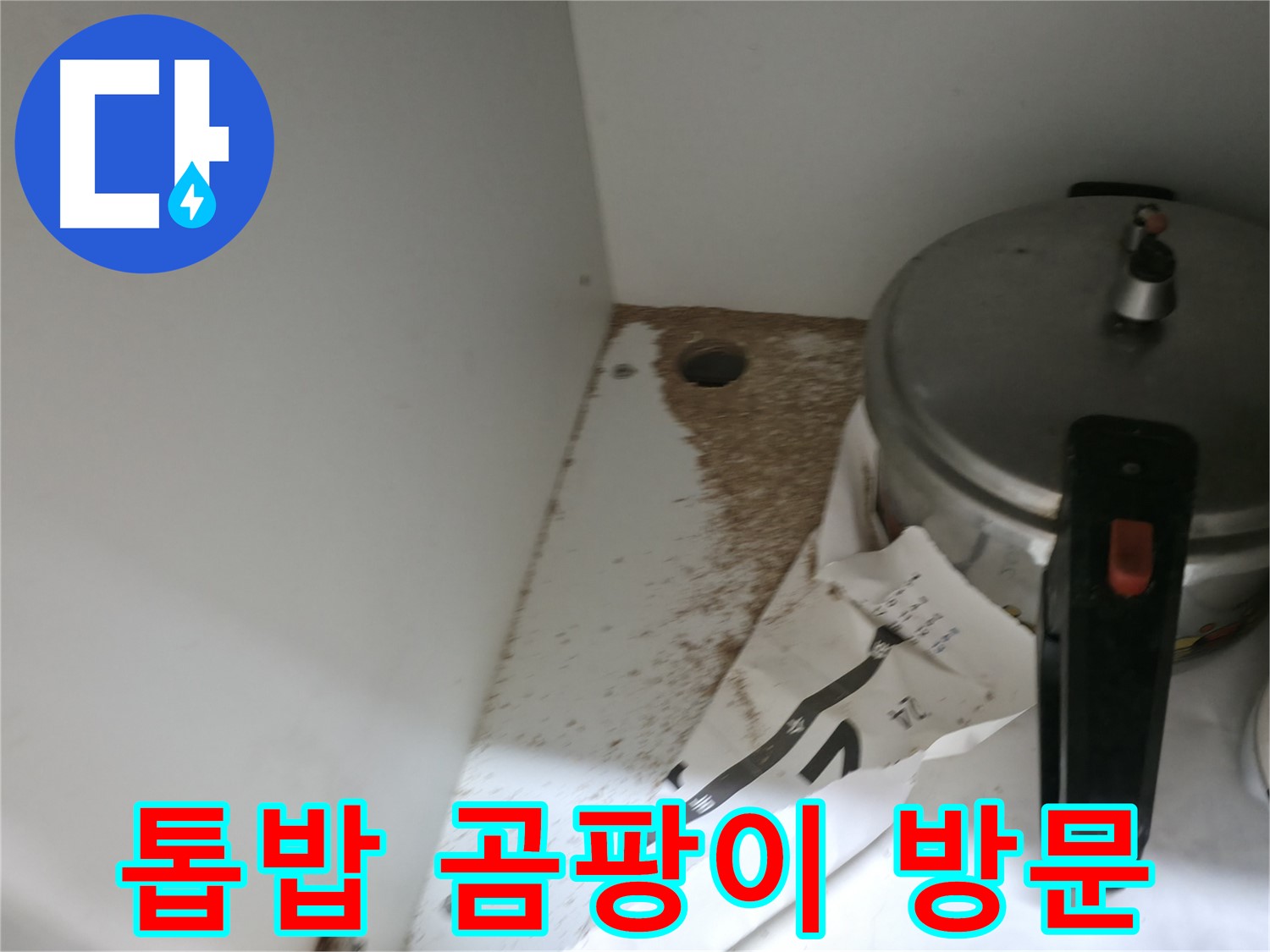 싱크대 누수 - 톱밥 발생 - 빠른 해결 - 전문가
