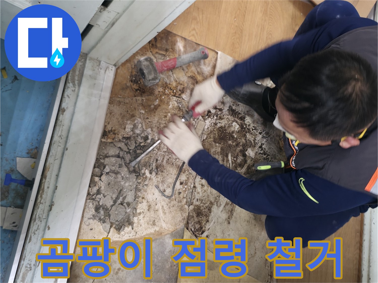 서초구 서초동 누수 - 곰팡이 점령 바닥 철거