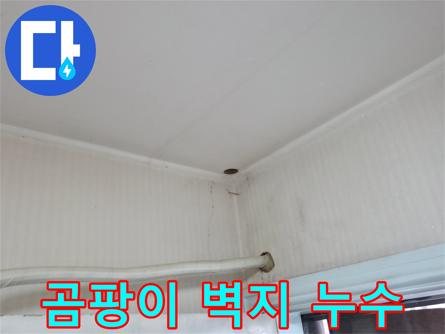 서초구 서초동 누수 - 곰팡이 핀 벽지를 뜯어보니 배관 누수가 발견되었습니다.