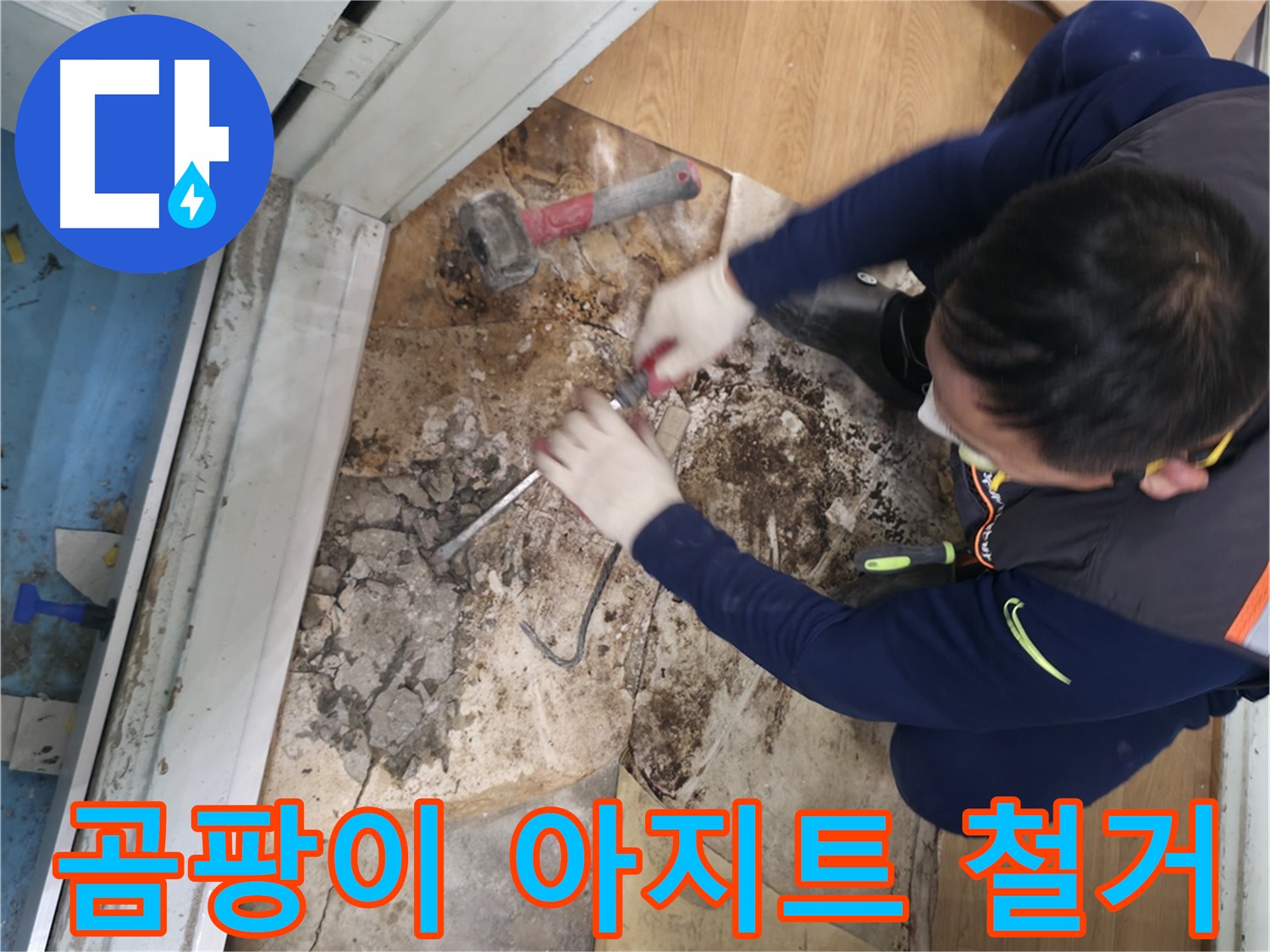 서초구 서초동 누수 - 장판 밑 곰팡이 아지트 바닥 철거