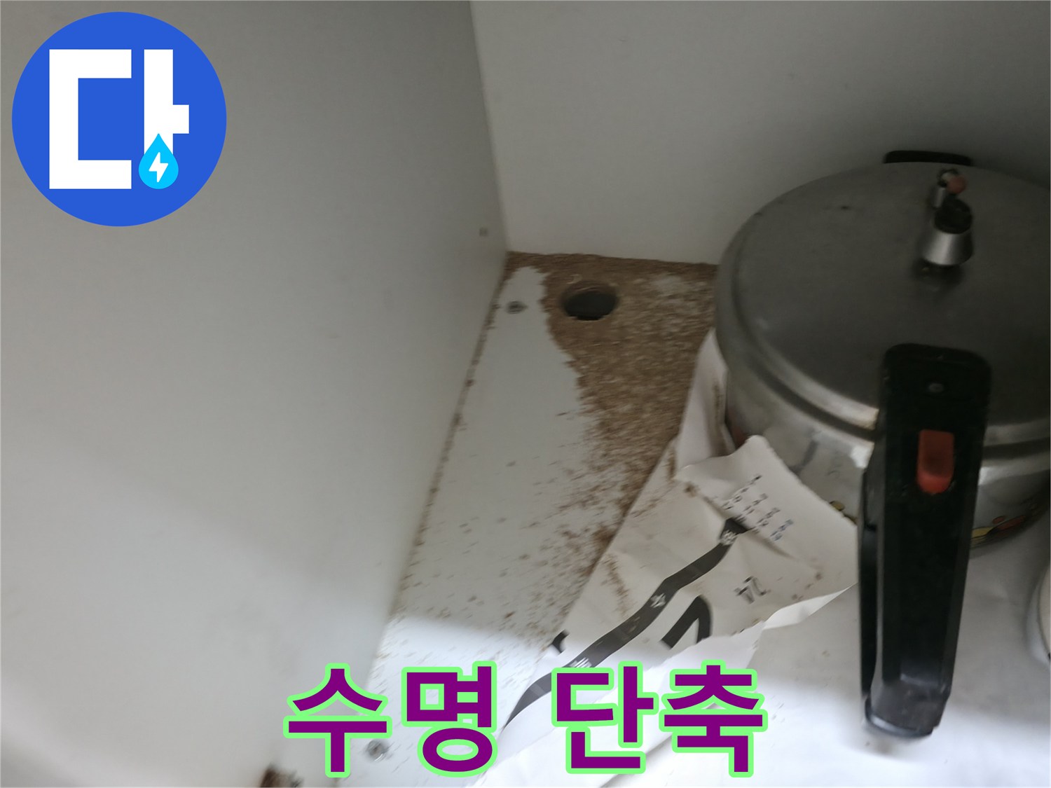 싱크대 밑 - 톱밥 - 건물 수명 단축 - 조기 진단 필수