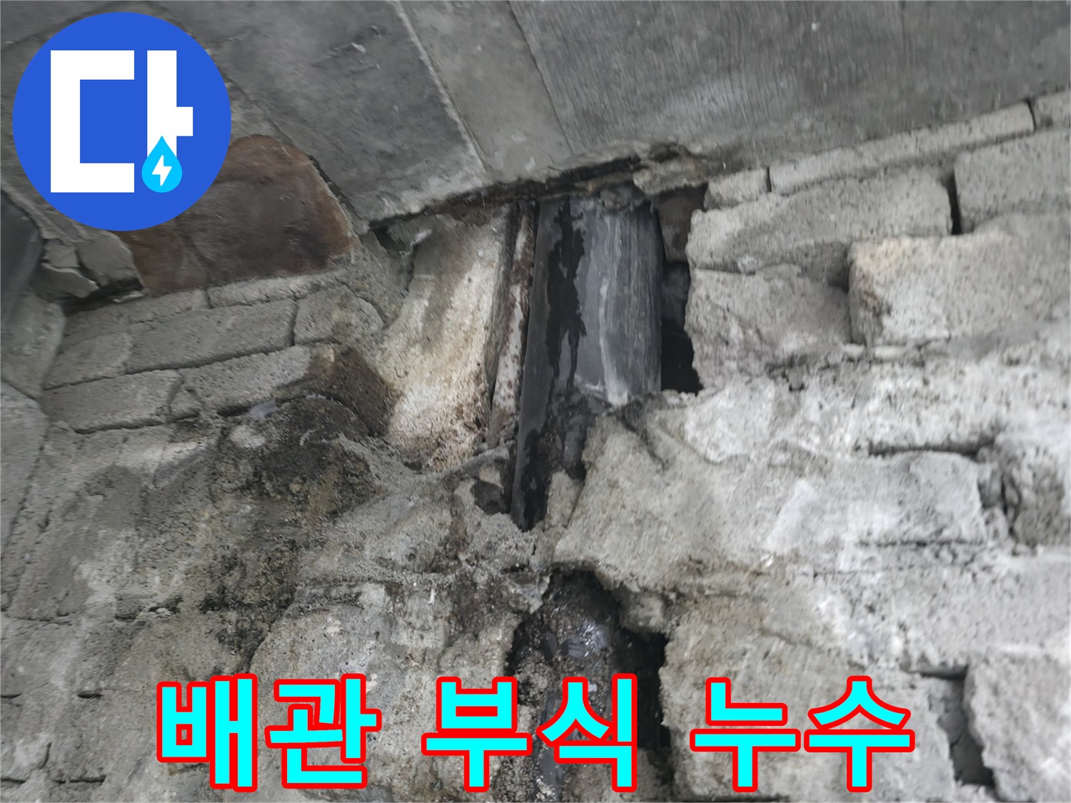 외벽 누수 곰팡이 독성 - 생명 위협