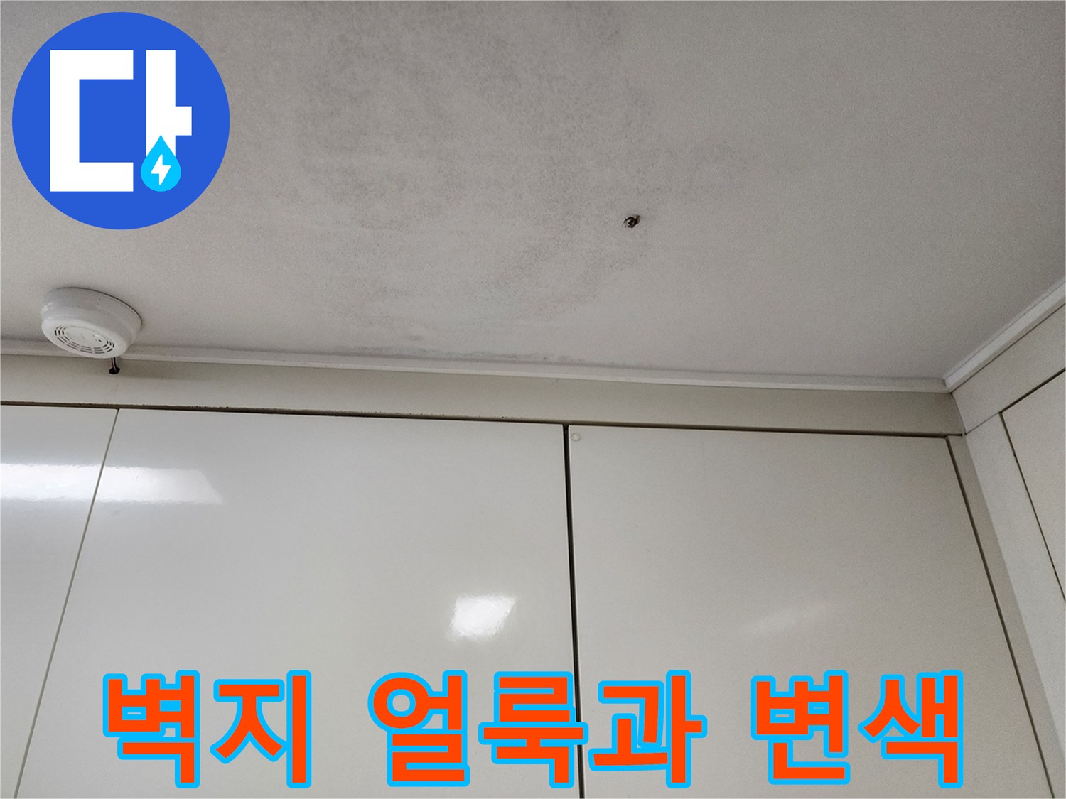 습기가 스며들어 어둡게 변한 벽지 표면