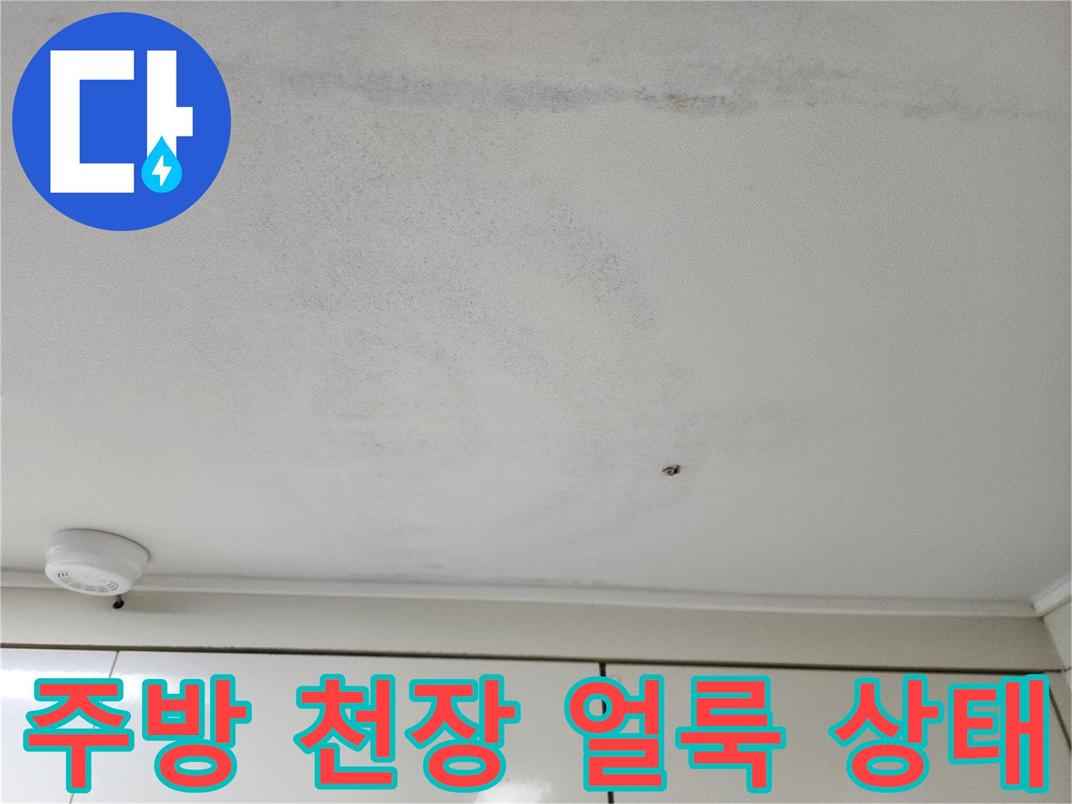 주방-천장-부위에-발생한-습기-및-얼룩-상태