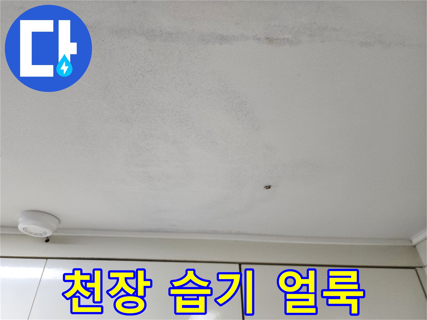 천장-표면에-퍼져있는-습기-얼룩