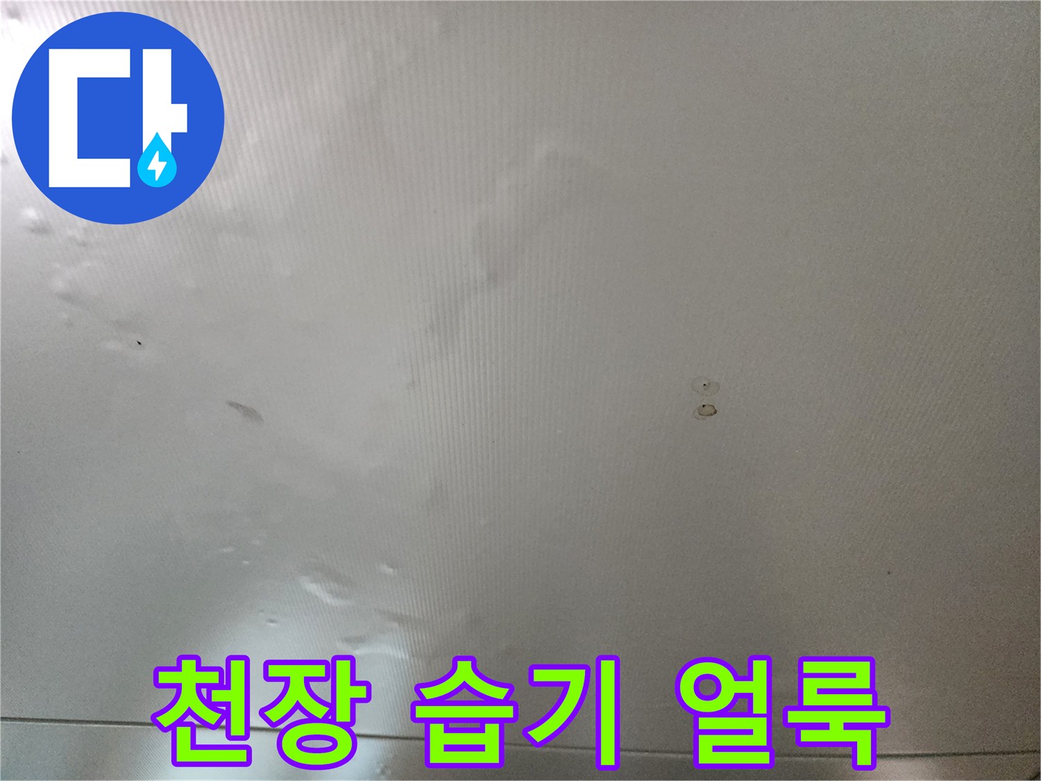 습기로 인해 누렇게 변한 천장 벽지의 모습입니다.