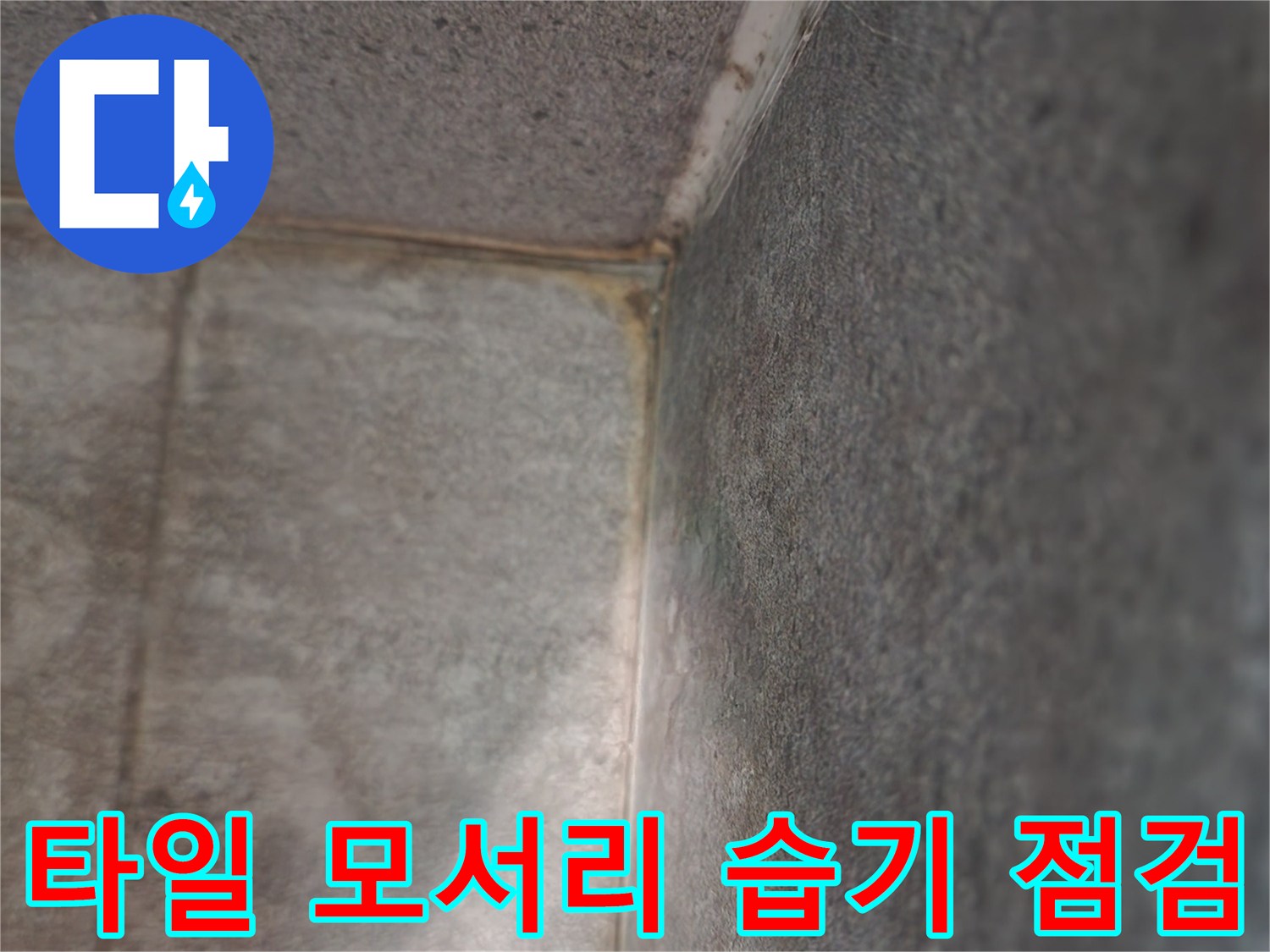 싱크대-하부-타일-벽면의-습윤한-상태-관찰