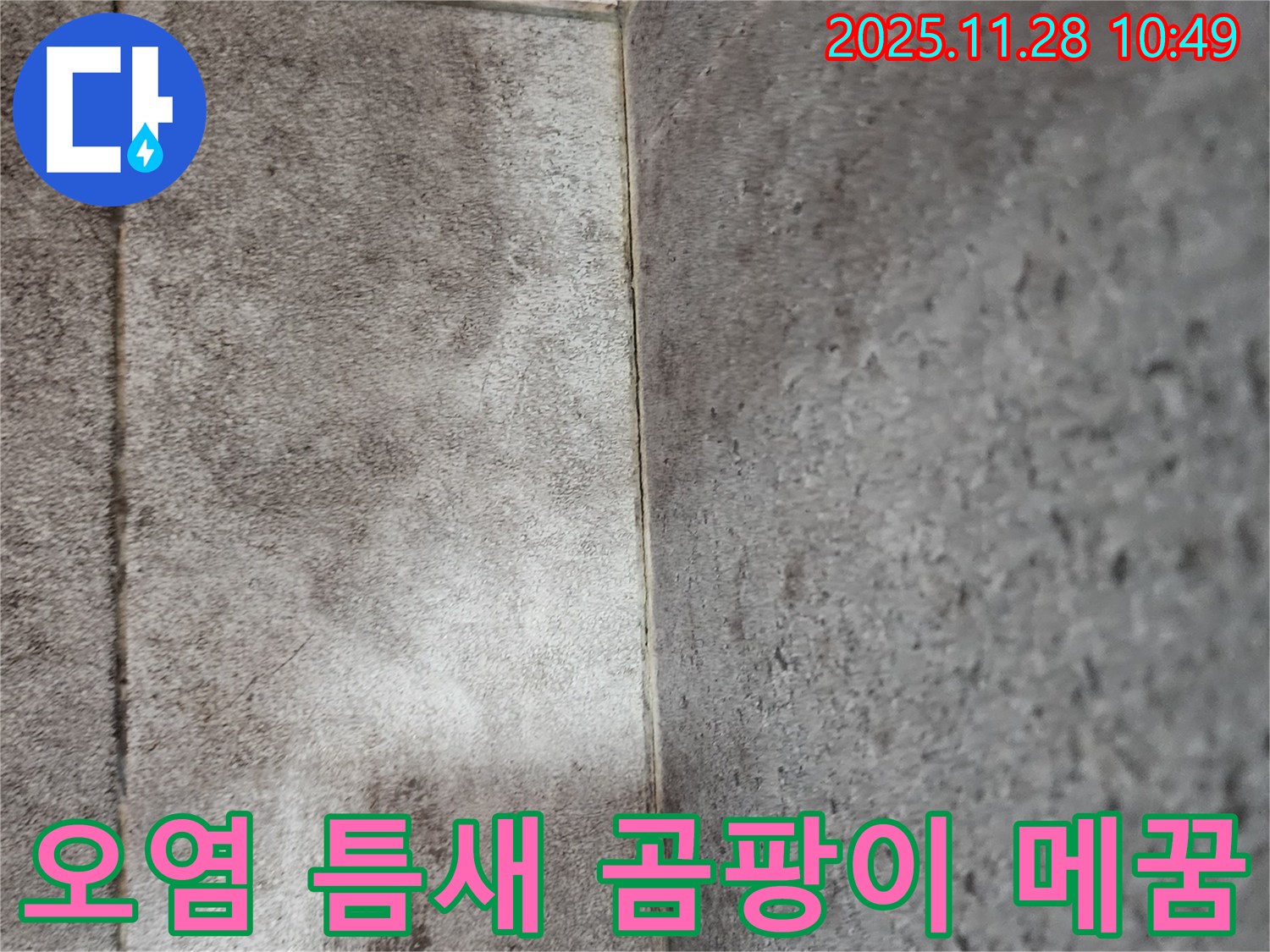 포천 신북면 욕실 곰팡이 누수 - 찌든 때와 곰팡이로 오염된 틈새 곰팡이 제거 후 완벽 메꿈 시공!