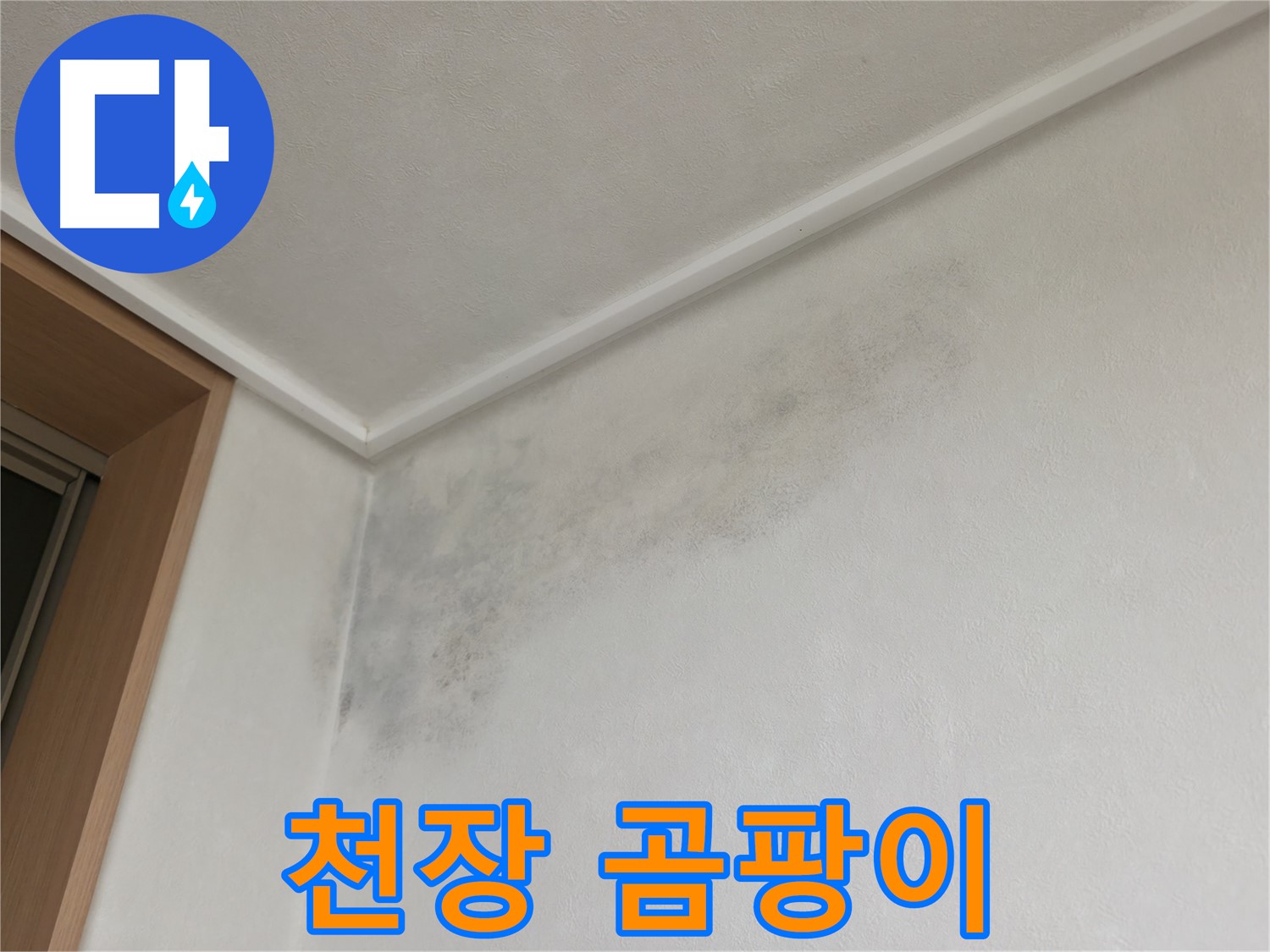 용인 구갈동 아파트 천장 누수 - 곰팡이가 심하게 핀 천장 모습