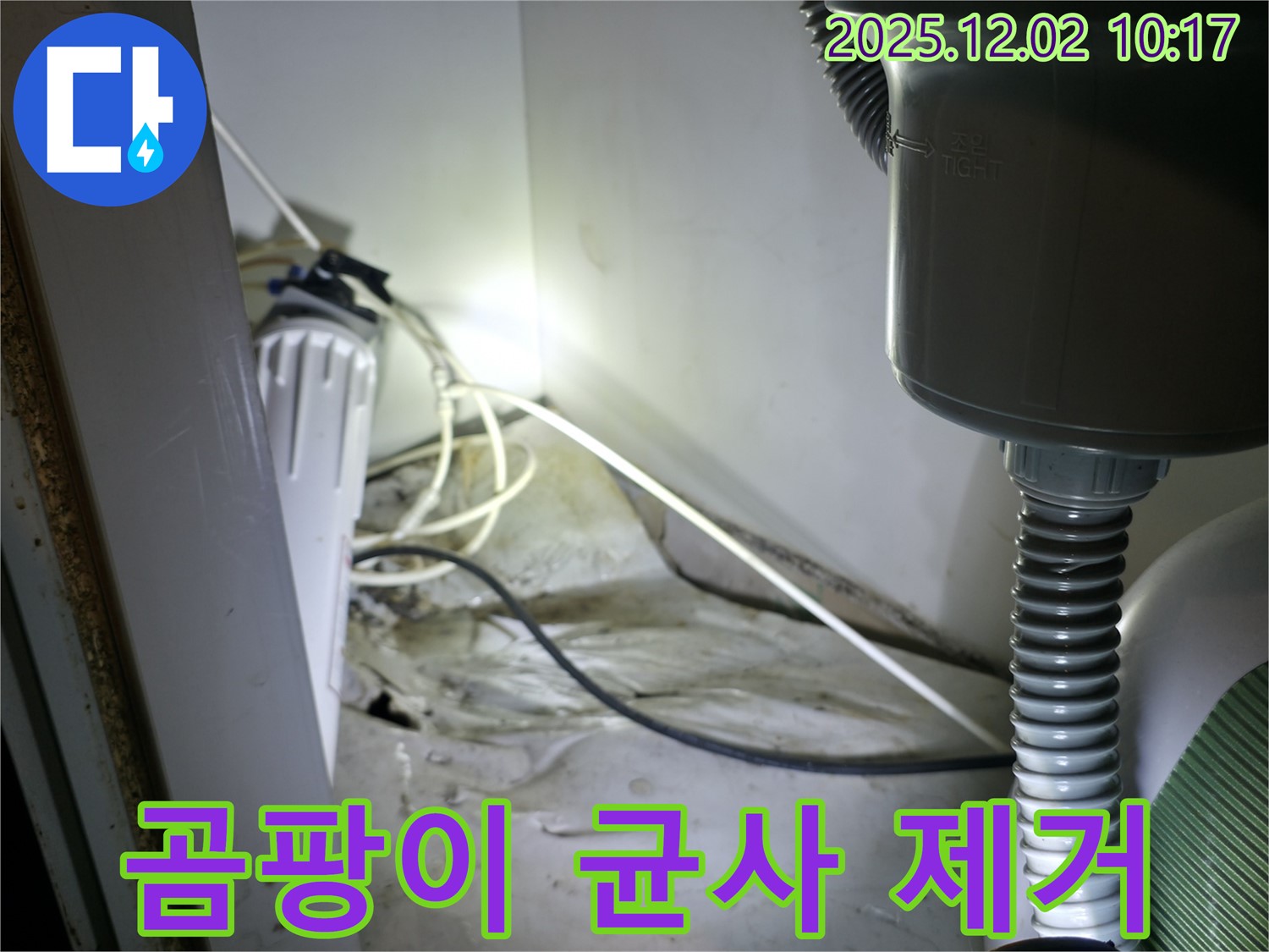 양평 옥천 싱크대 누수 - 곰팡이 균사까지 완벽하게 제거