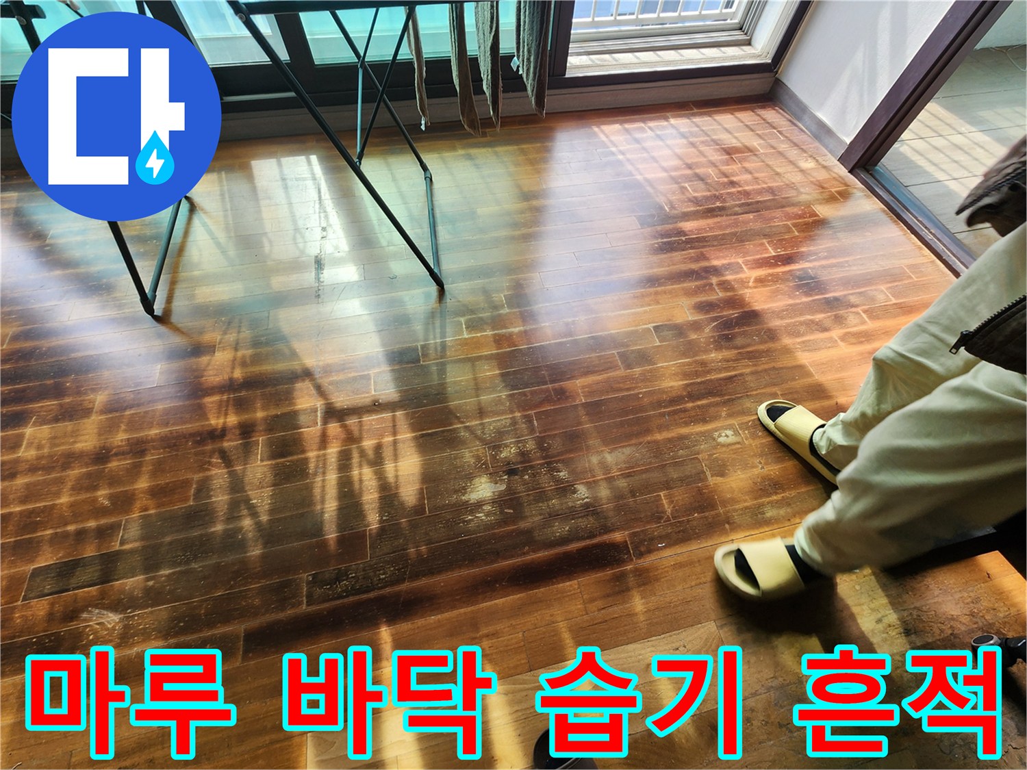 습기가-스며든-어두운-색상의-거실-마루