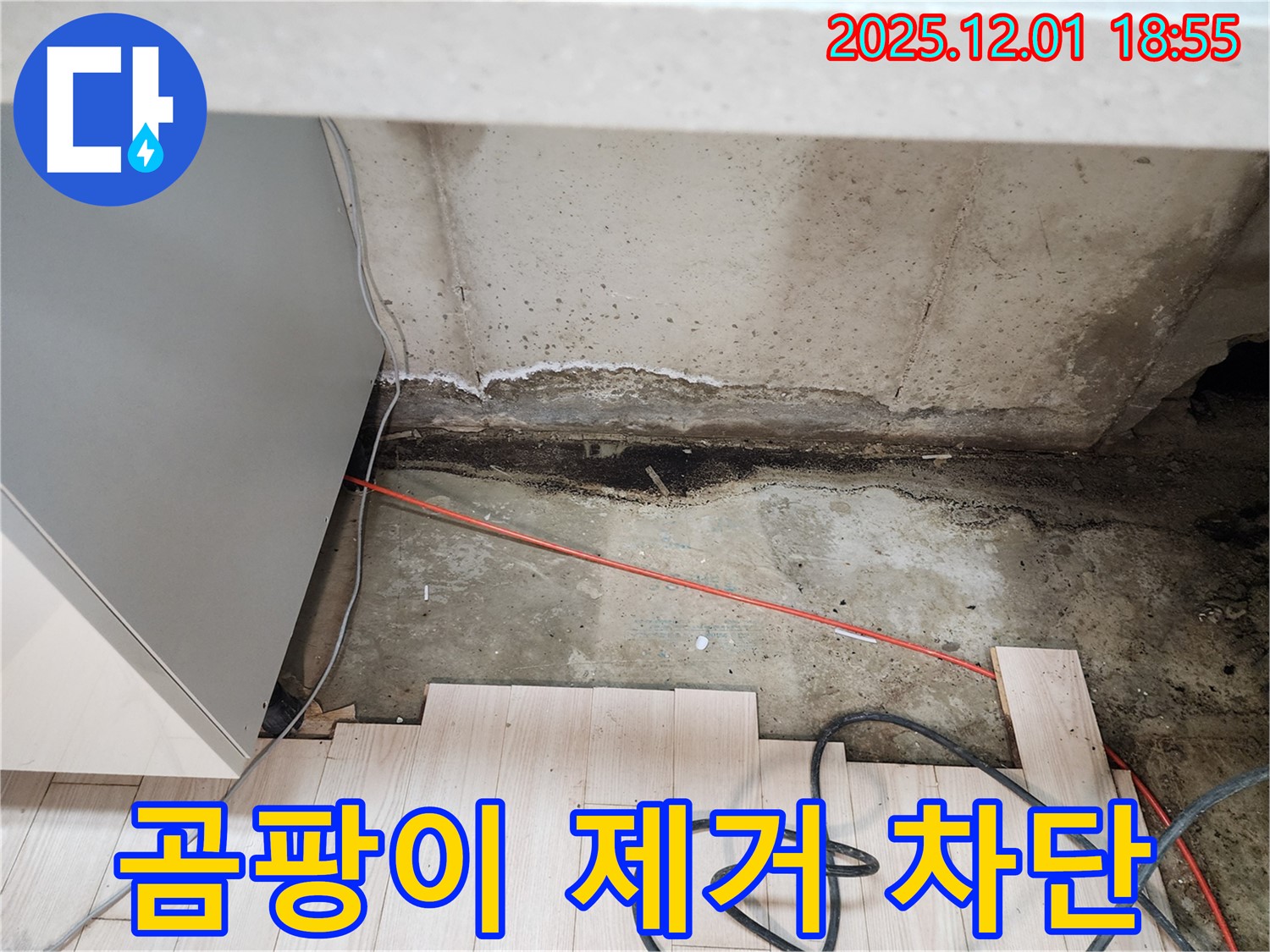 연곡리 싱크대 하부 누수 - 곰팡이 제거 및 누수 원인 완벽 차단 시공 과정