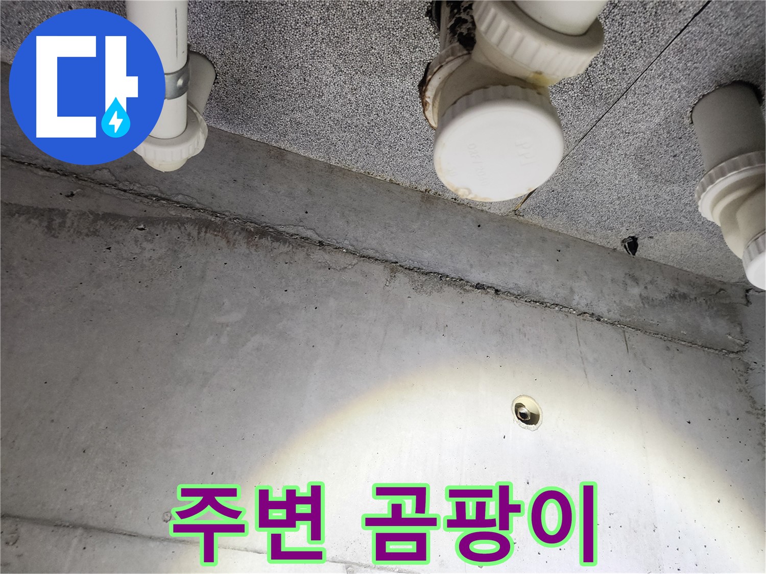 남양주 다산동 e편한세상 - 누수 지점 주변 곰팡이 발생 - 건강 위협