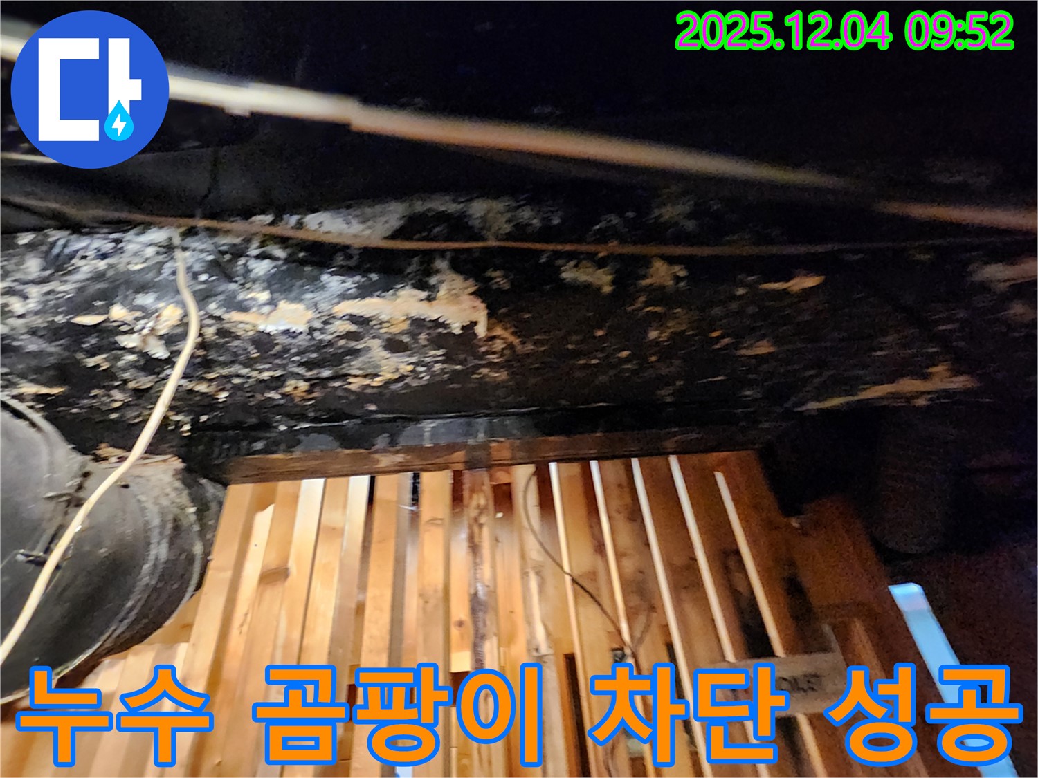 성동구 마조로 누수 - 곰팡이 확산 방지를 위한 누수 차단 공사 성공
