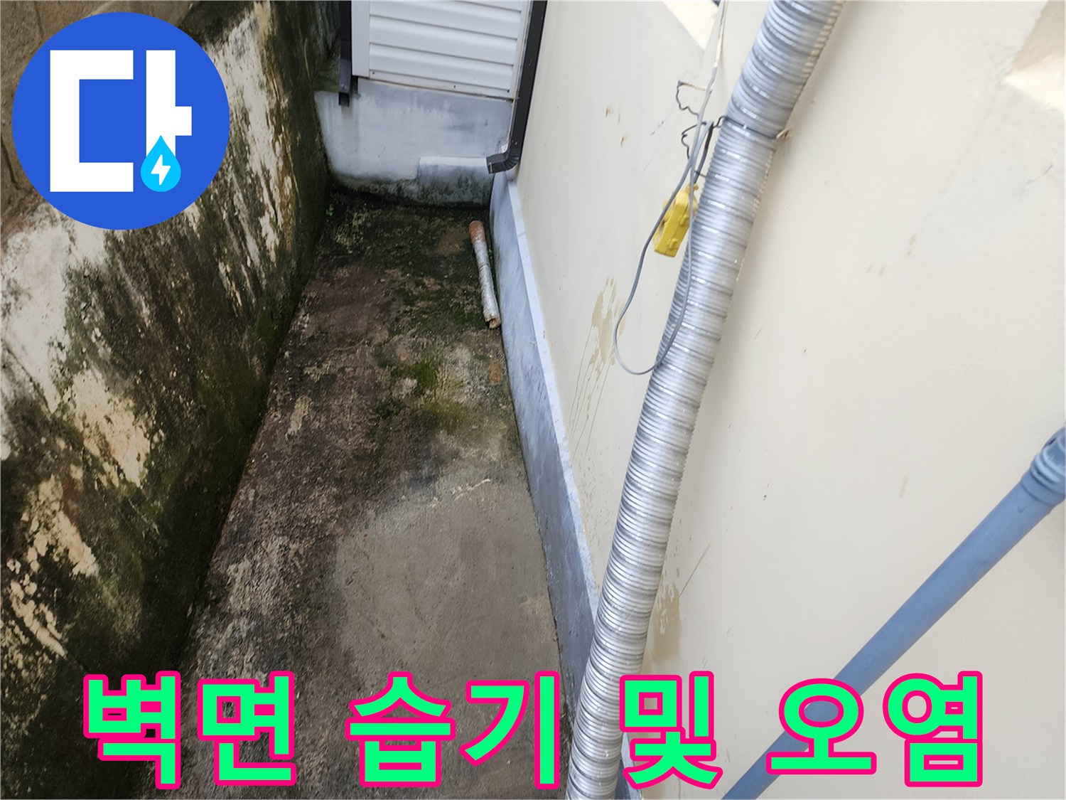 건물-외벽-하부-습기-및-곰팡이-발생-상태
