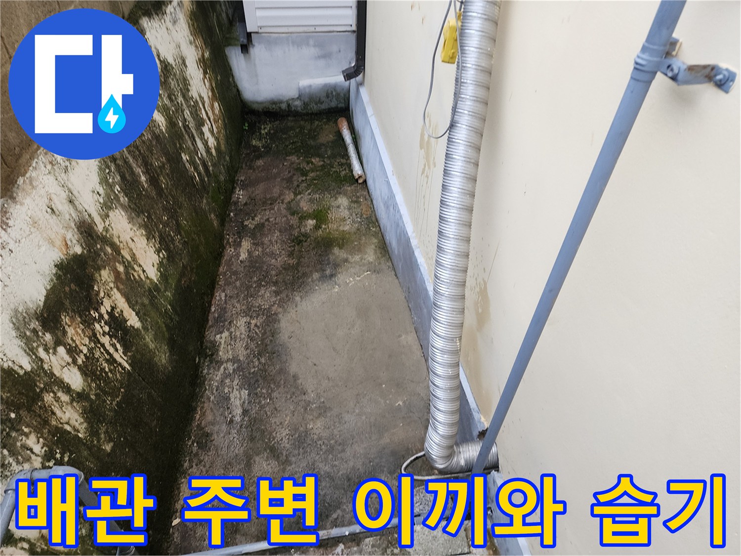 건물-외부-배관-주변의-이끼_및_습기_상태