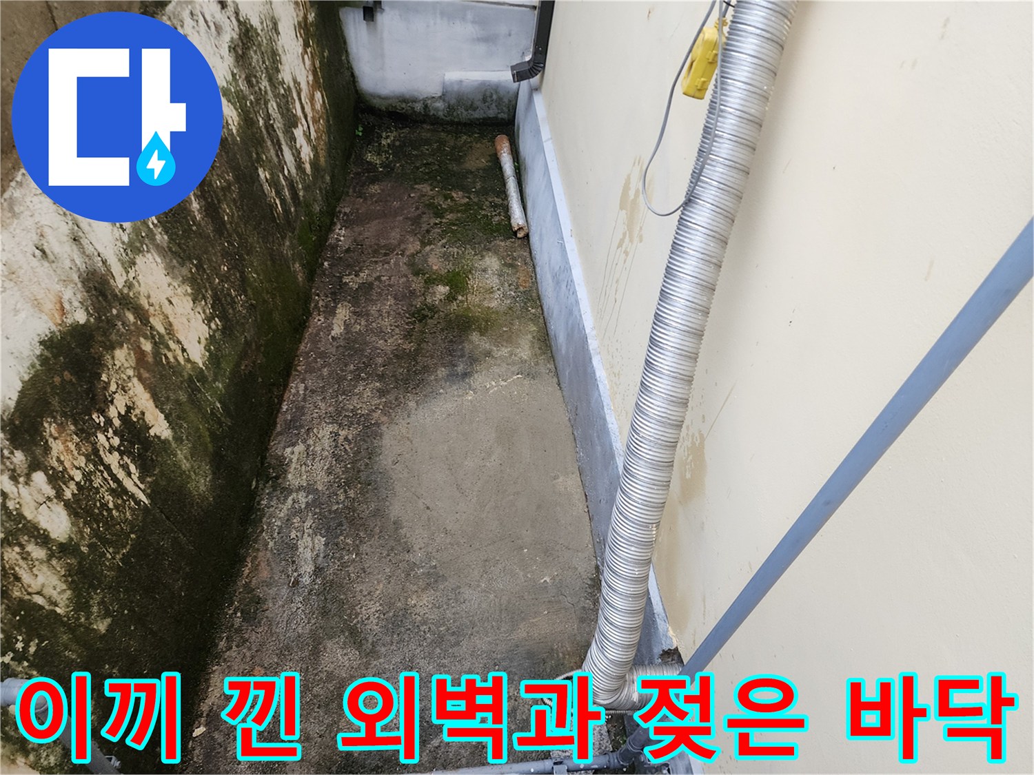 건물 하단 벽면 - 습기와 이끼로 오염된 외부 환경